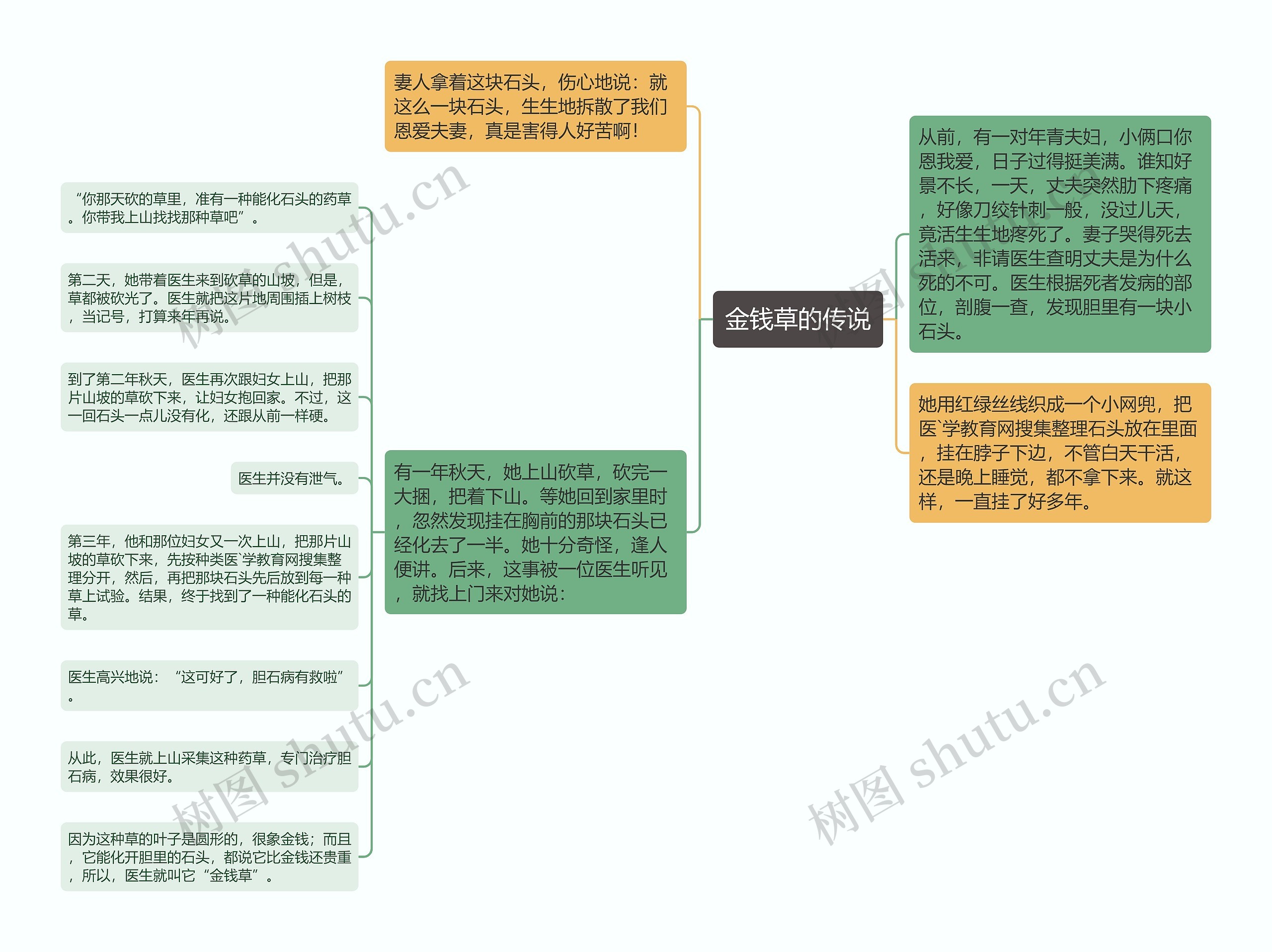 金钱草的传说