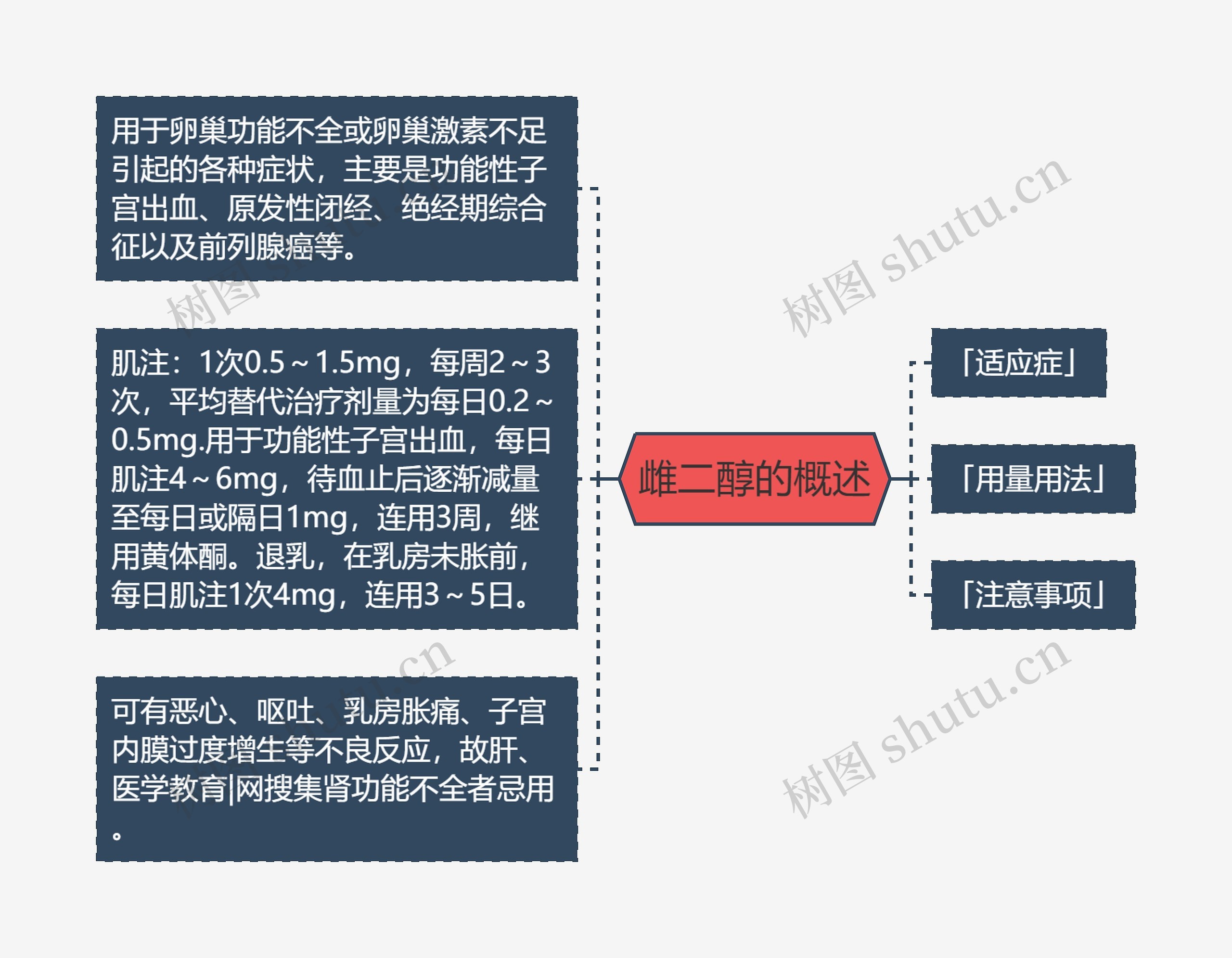 雌二醇的概述思维导图