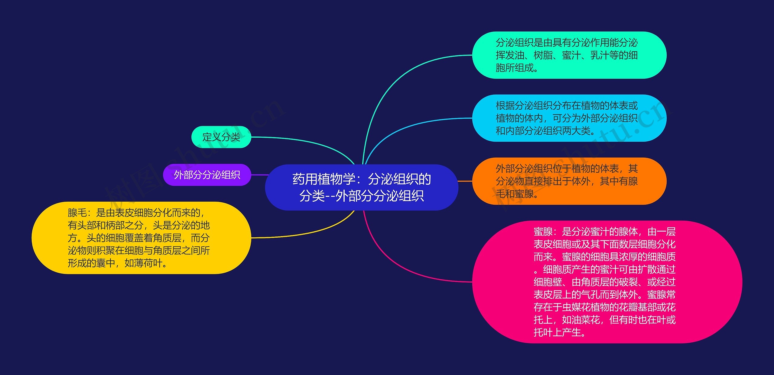 药用植物学：分泌组织的分类--外部分分泌组织思维导图