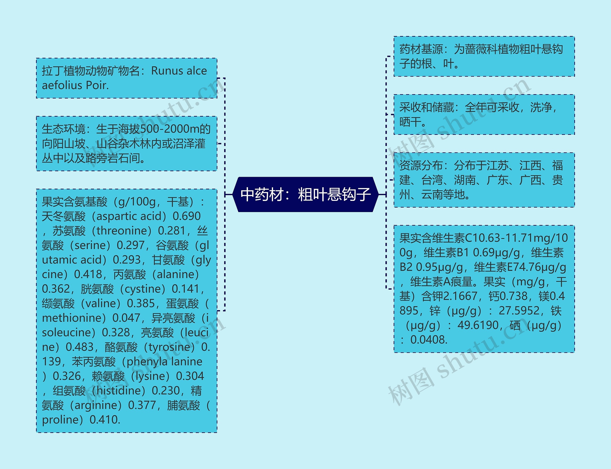 中药材：粗叶悬钩子思维导图