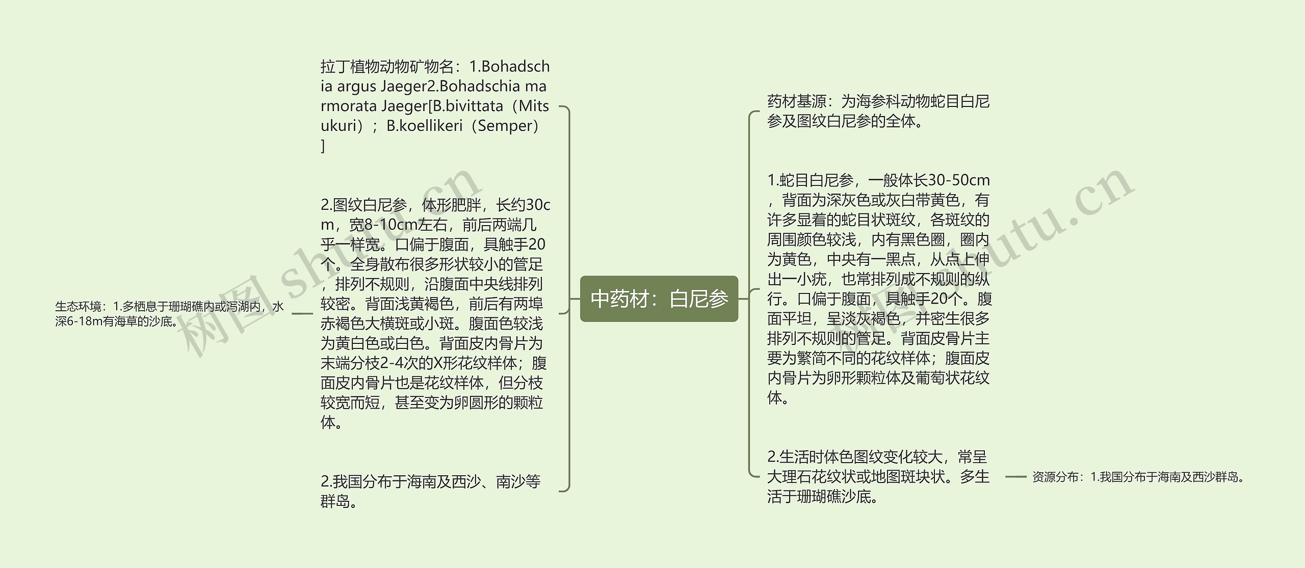 中药材：白尼参思维导图