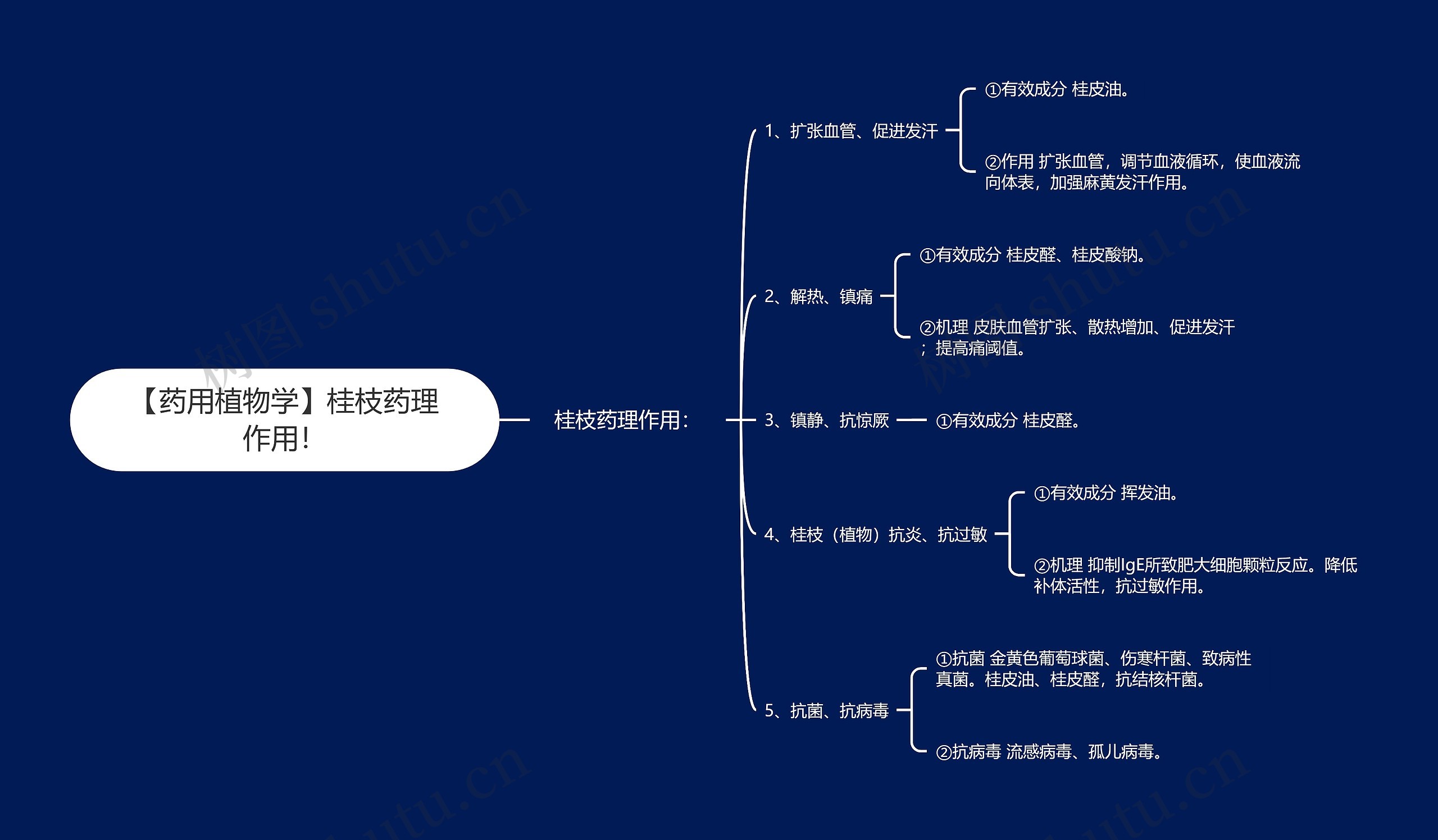 【药用植物学】桂枝药理作用！思维导图