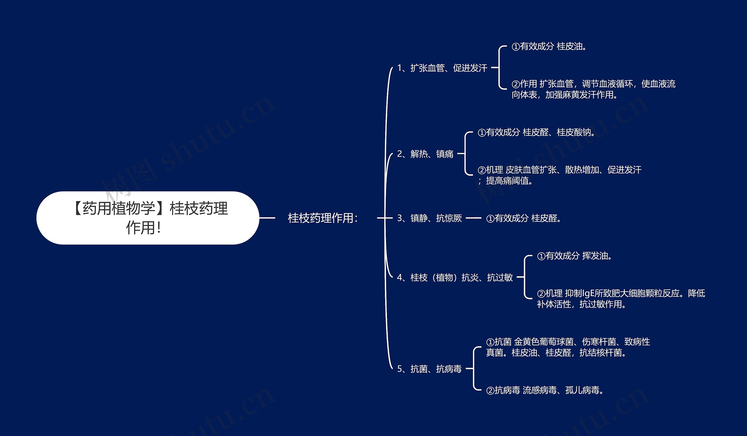 【药用植物学】桂枝药理作用! 【药用植物学】桂枝药理作用!