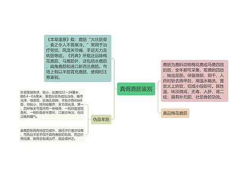 真假鹿筋鉴别