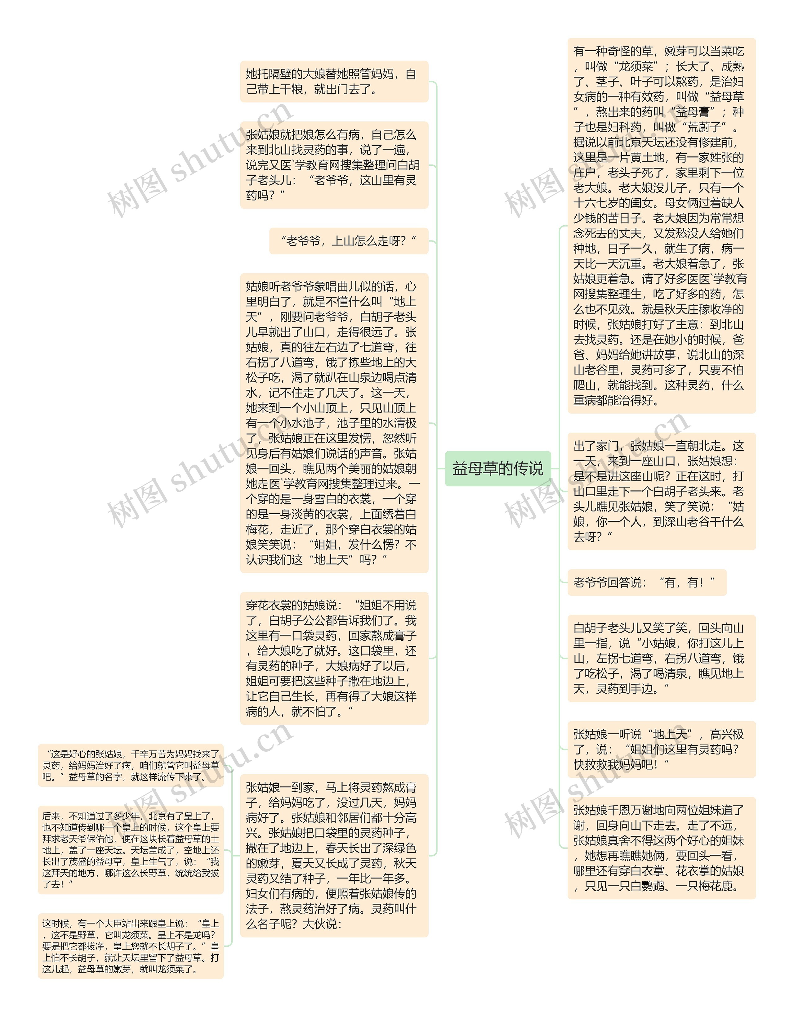 益母草的传说思维导图