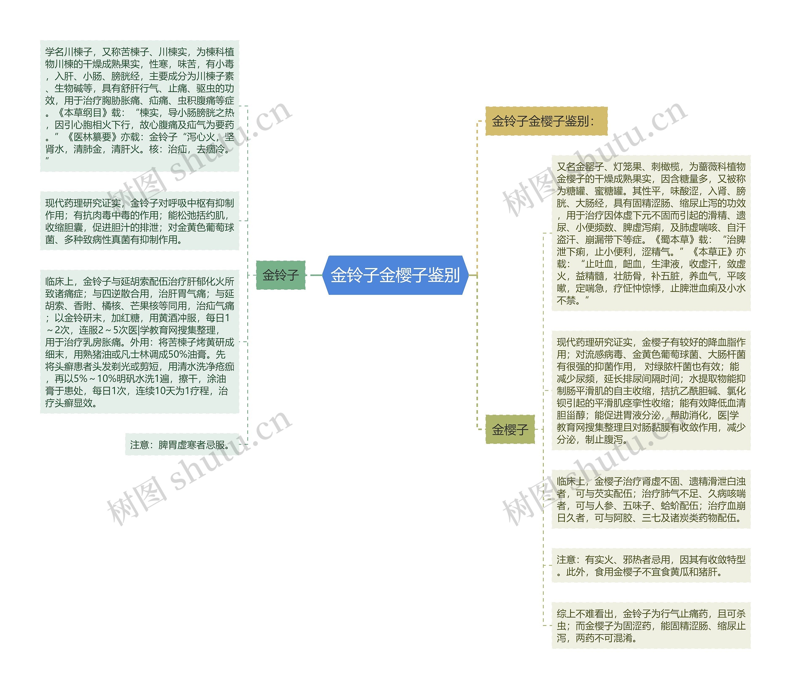 金铃子金樱子鉴别思维导图