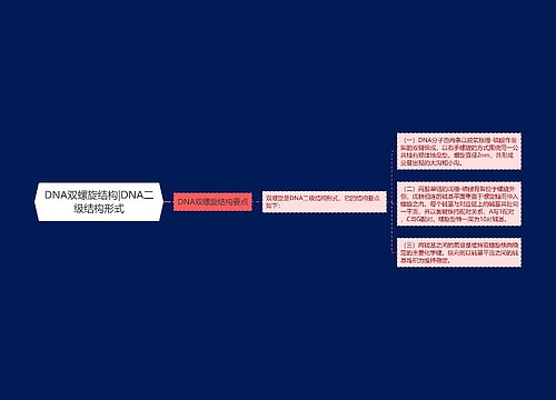 DNA双螺旋结构|DNA二级结构形式