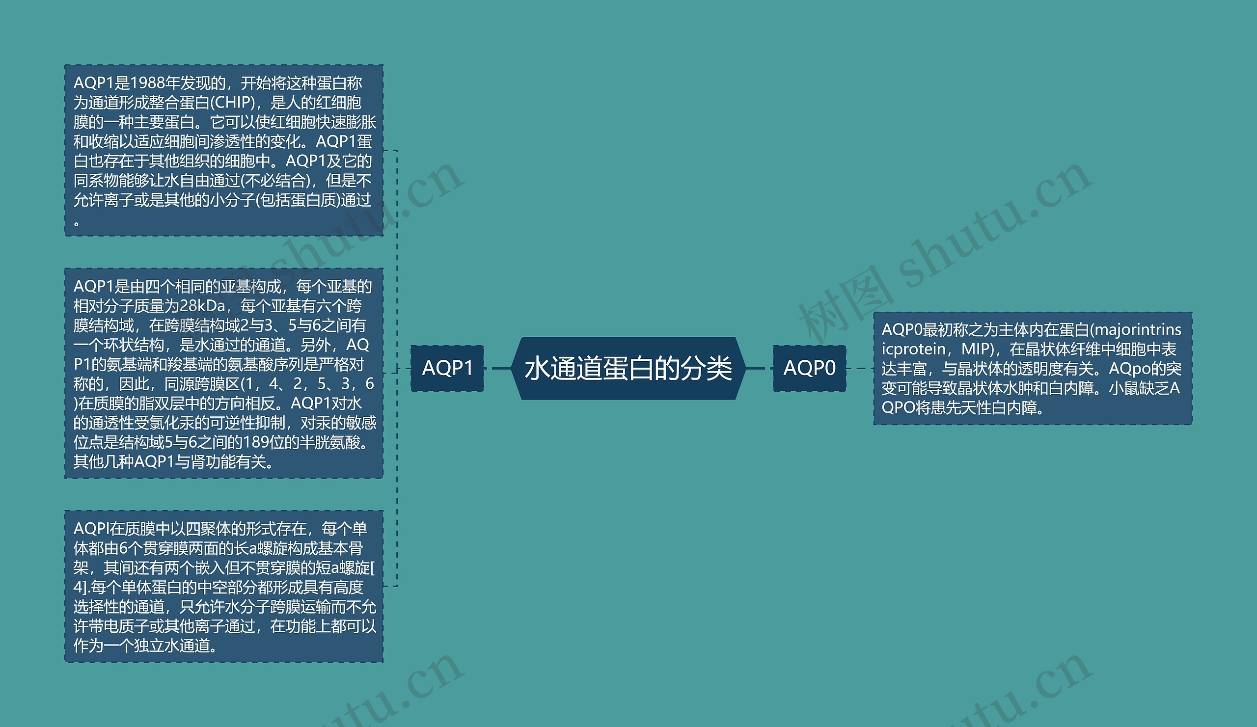 水通道蛋白的分类思维导图