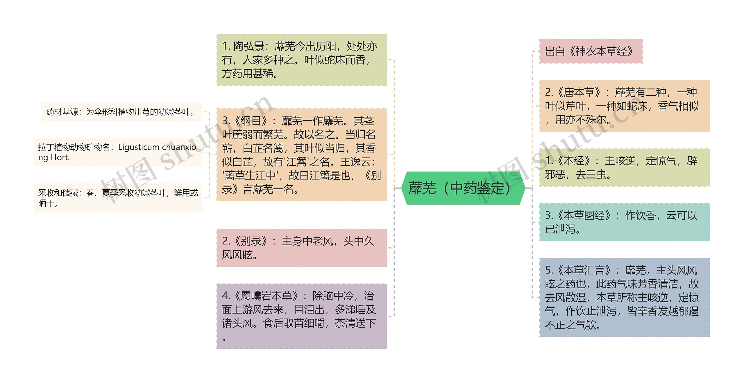 蘼芜（中药鉴定）思维导图