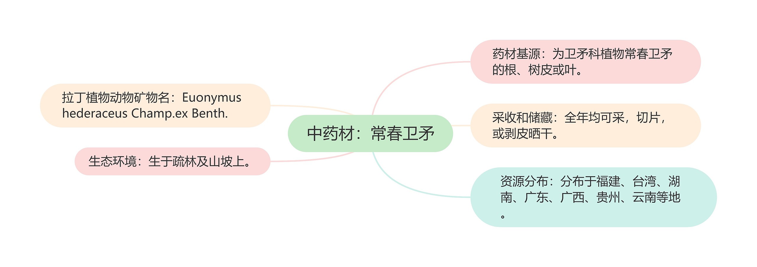 中药材：常春卫矛思维导图