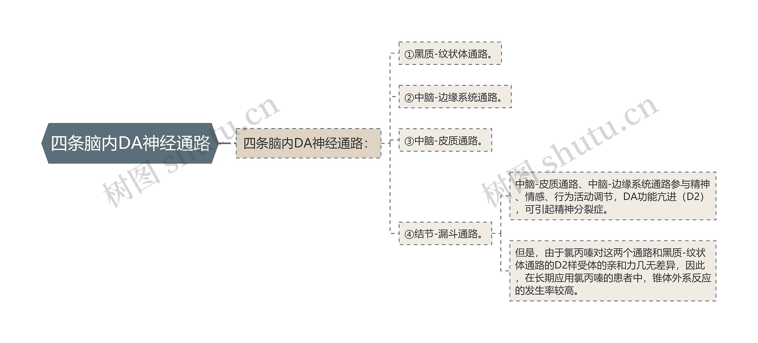 四条脑内DA神经通路思维导图