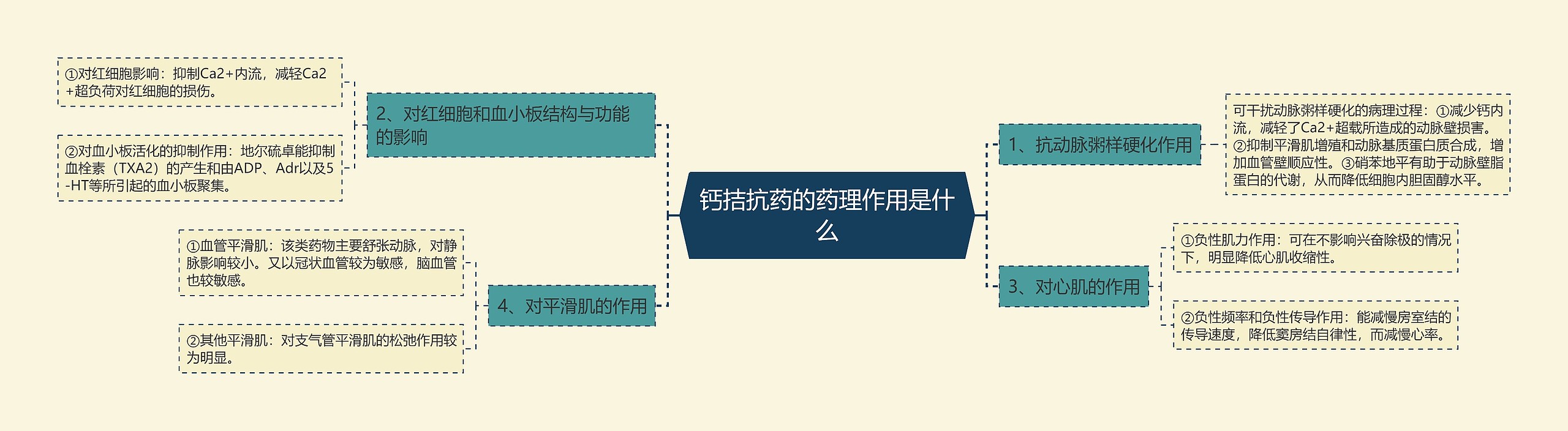 钙拮抗药的药理作用是什么思维导图