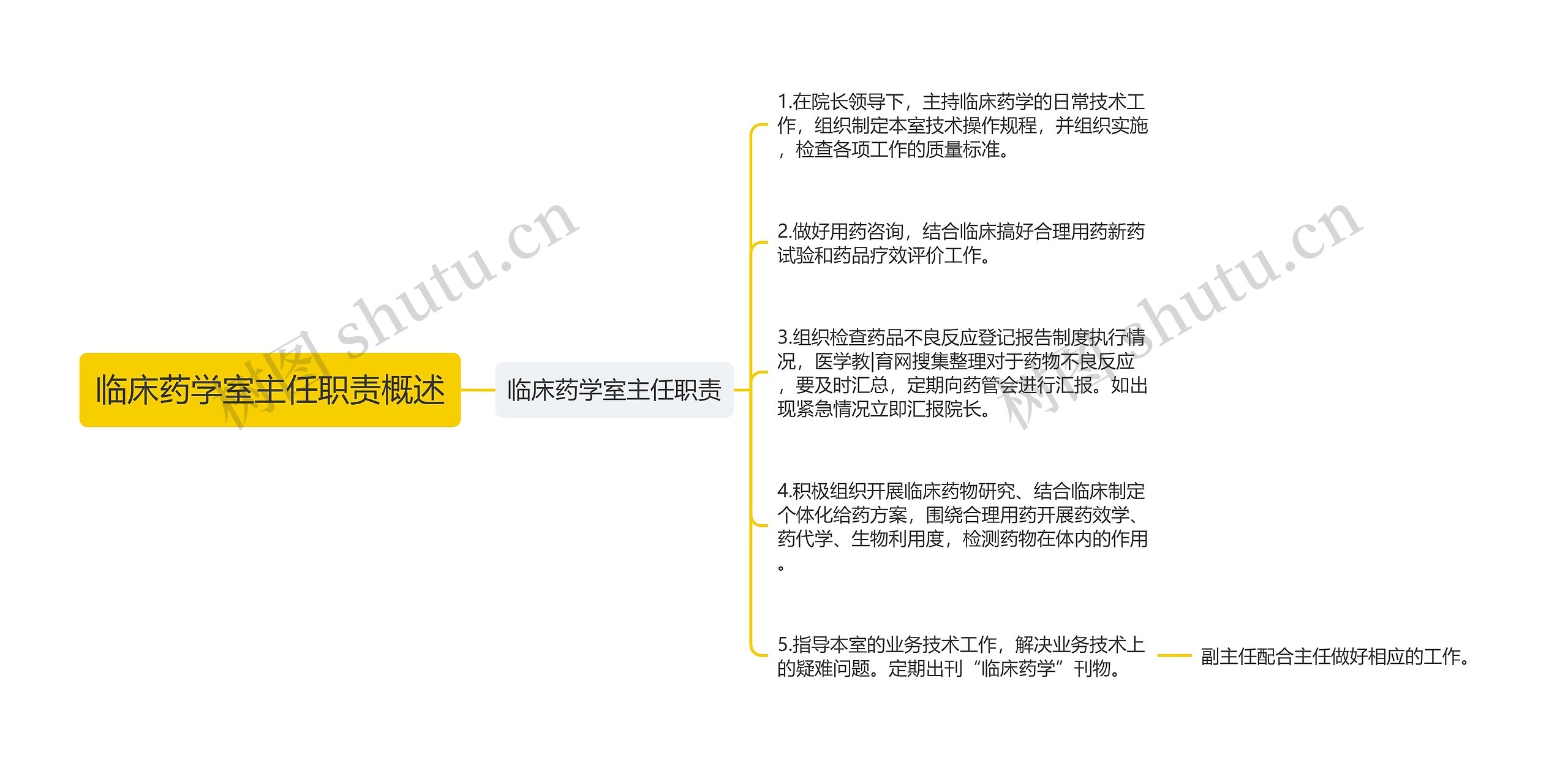 临床药学室主任职责概述思维导图