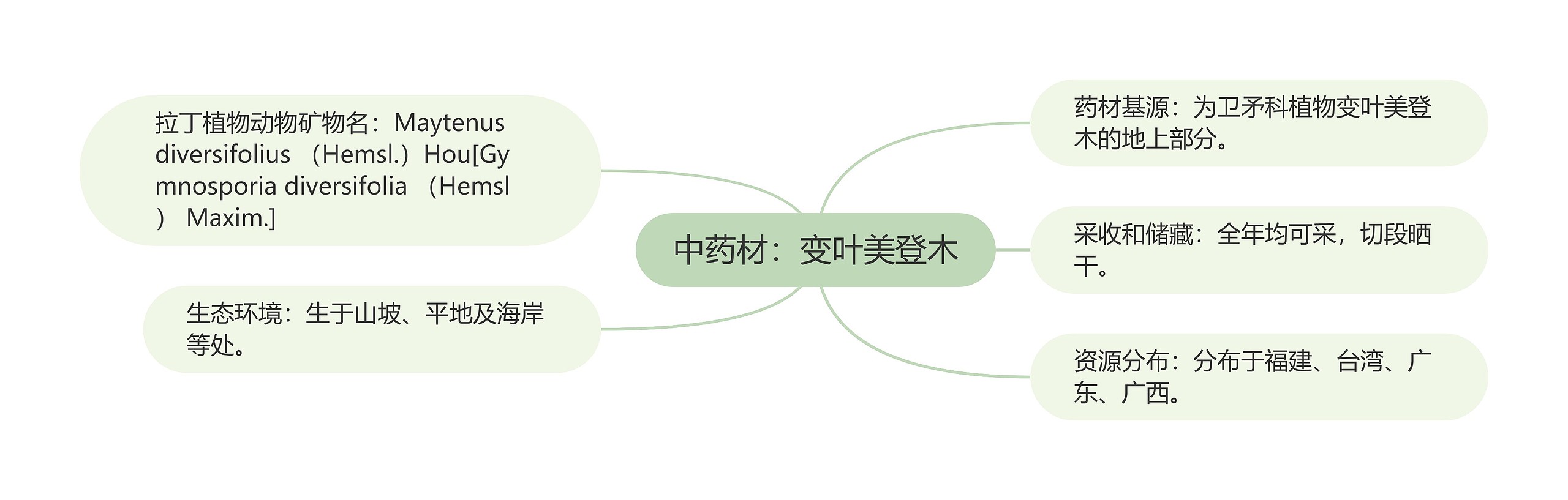 中药材：变叶美登木