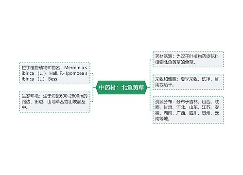 中药材：北鱼黄草