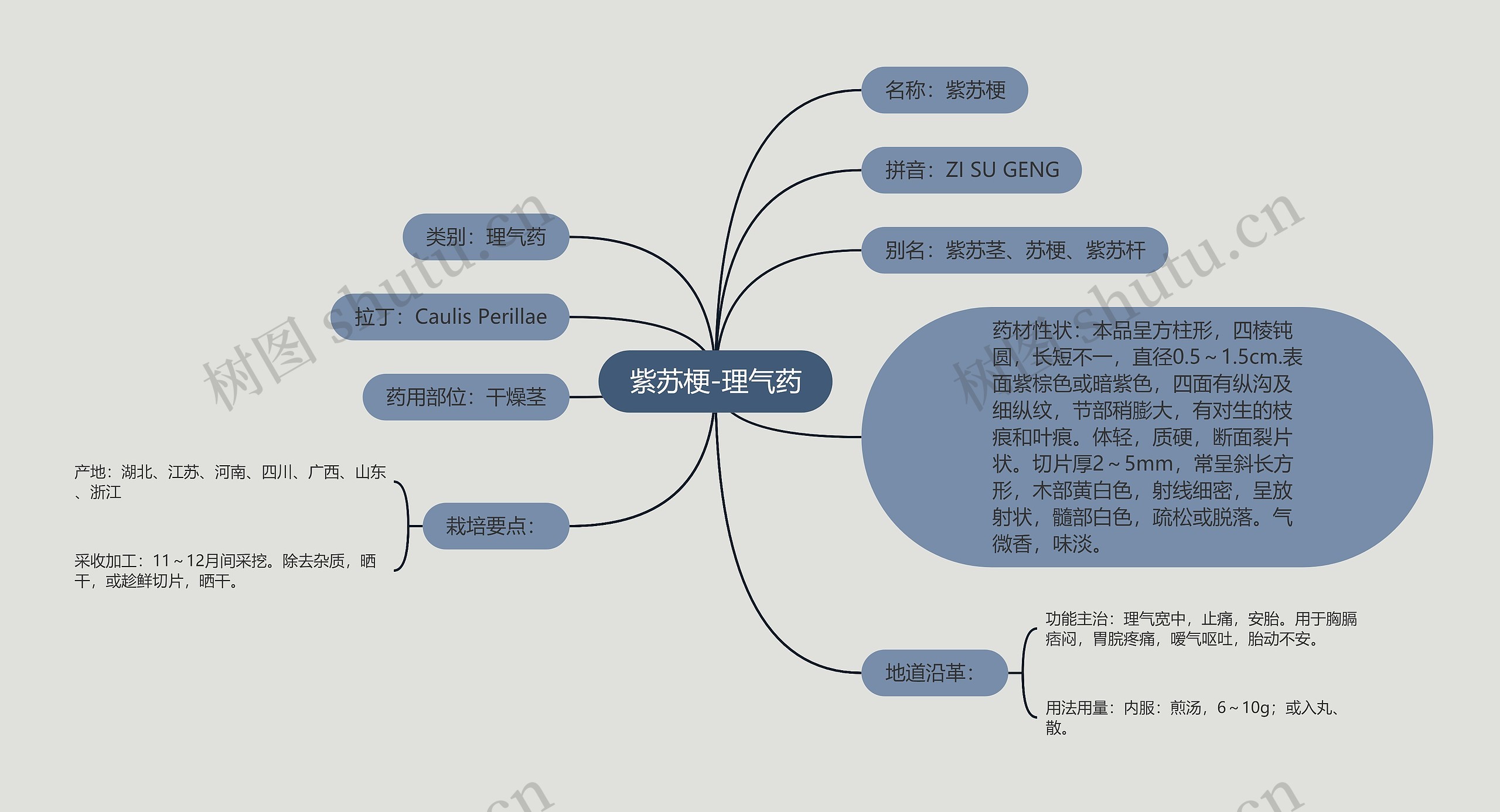 紫苏梗-理气药思维导图