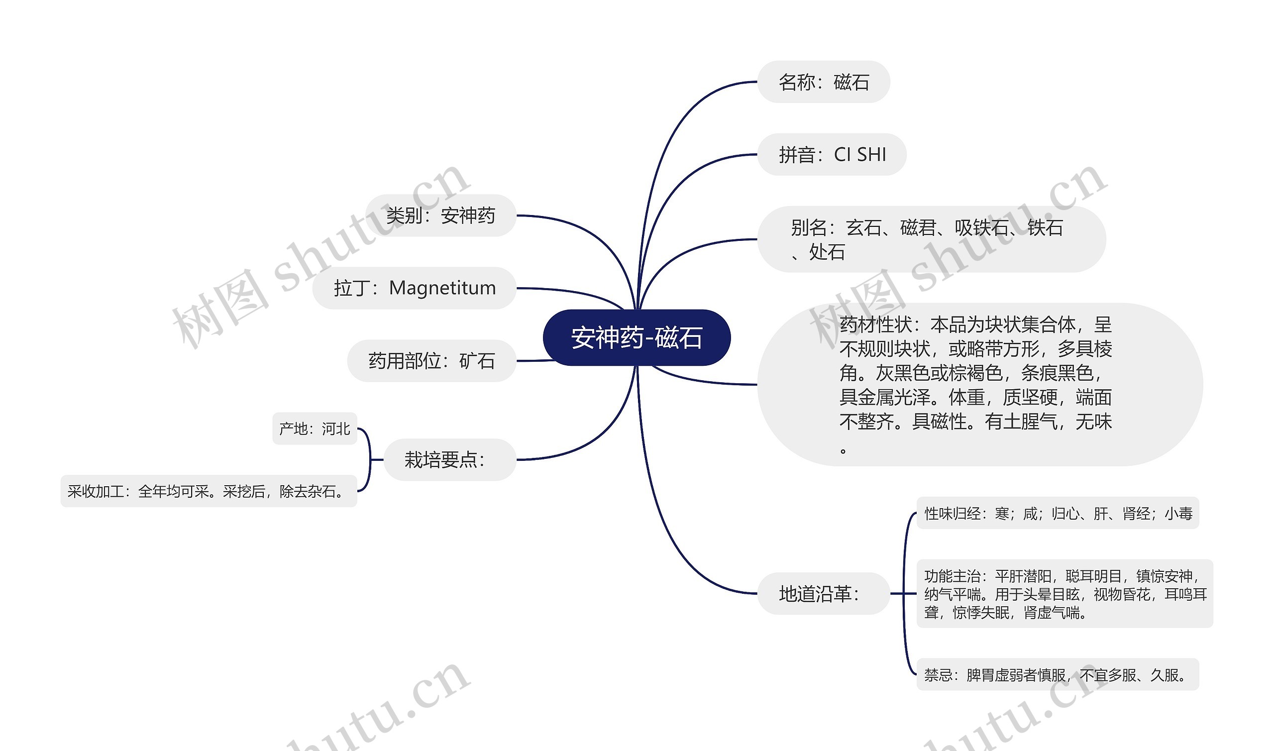 安神药-磁石思维导图