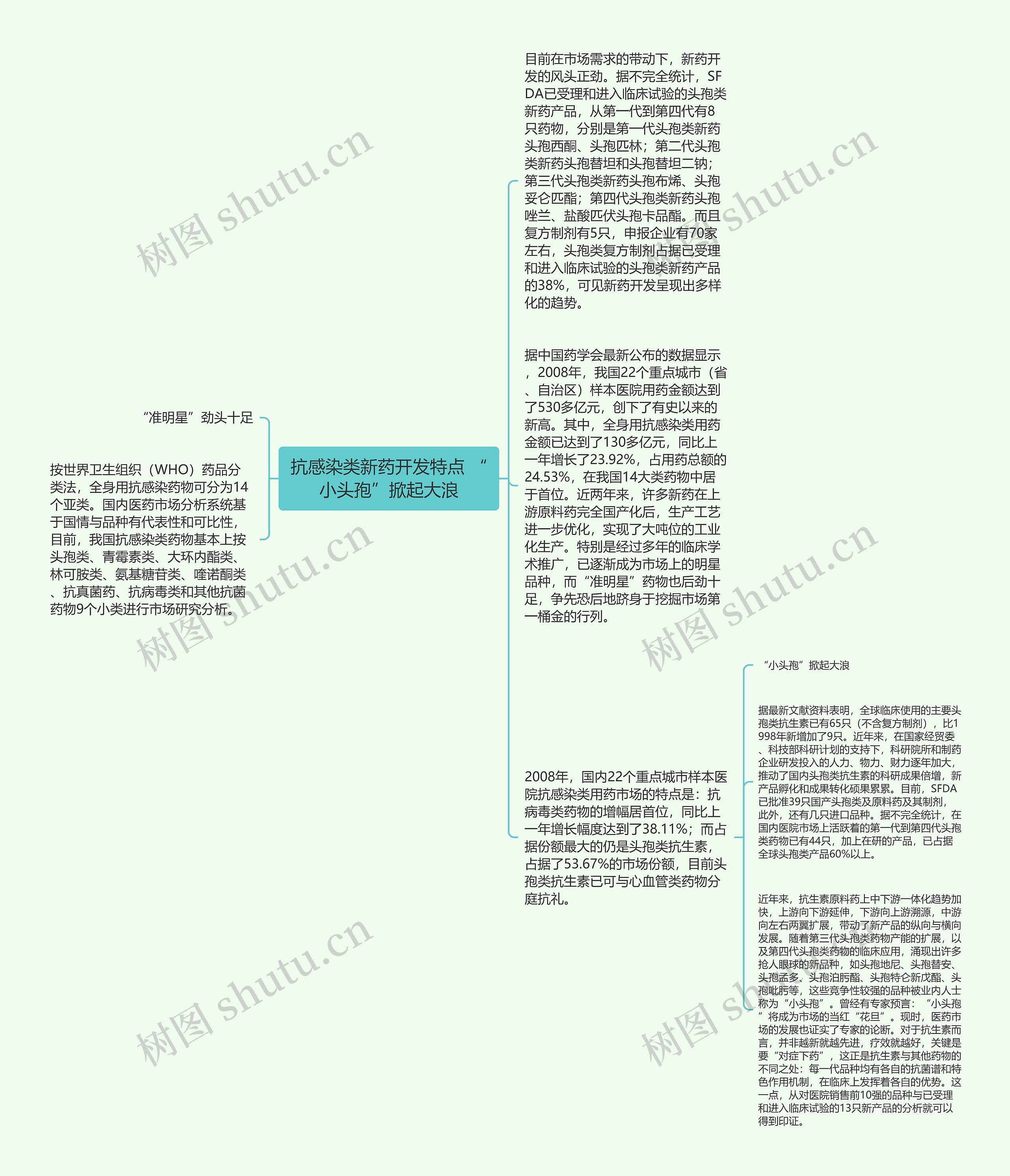 抗感染类新药开发特点 “小头孢”掀起大浪思维导图