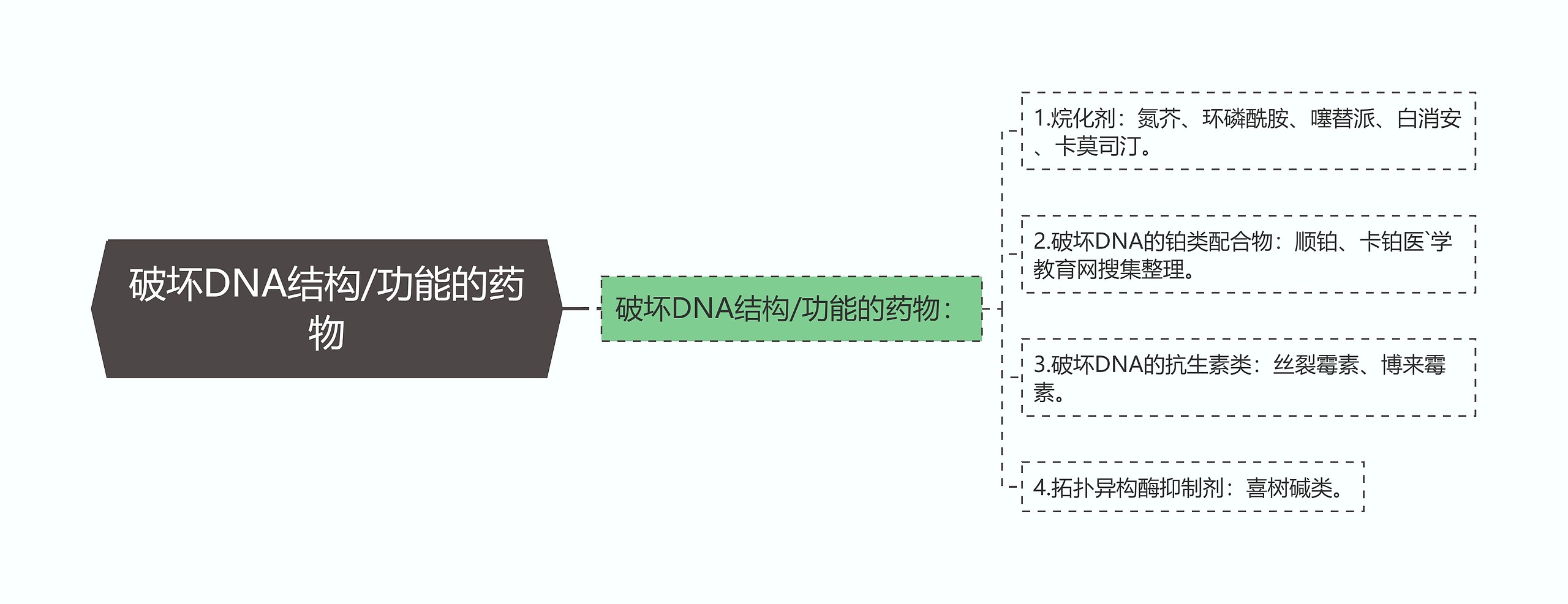 破坏DNA结构/功能的药物思维导图