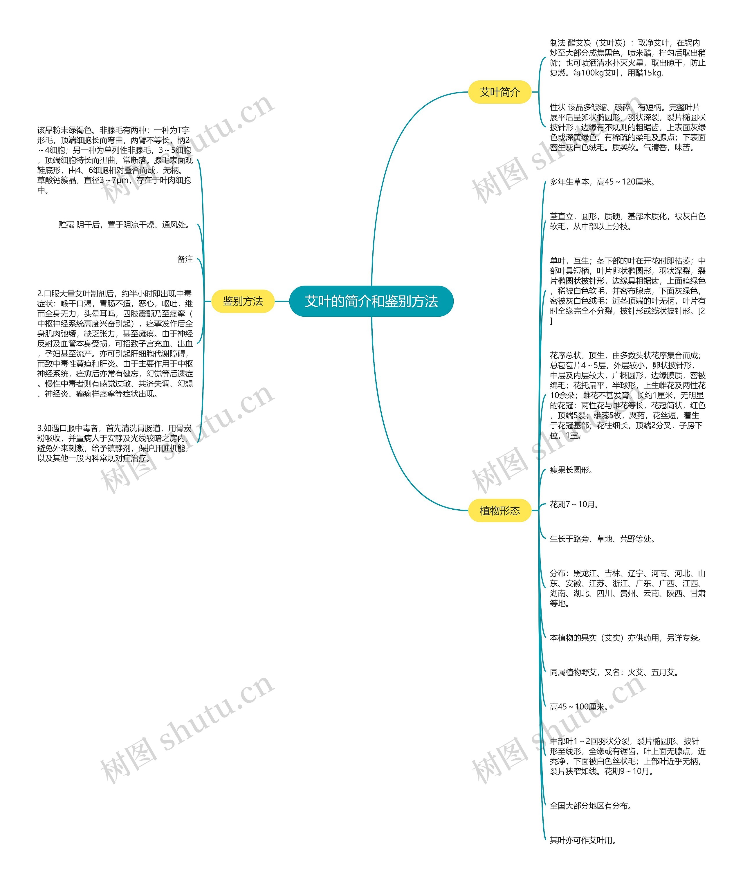 艾叶的简介和鉴别方法思维导图
