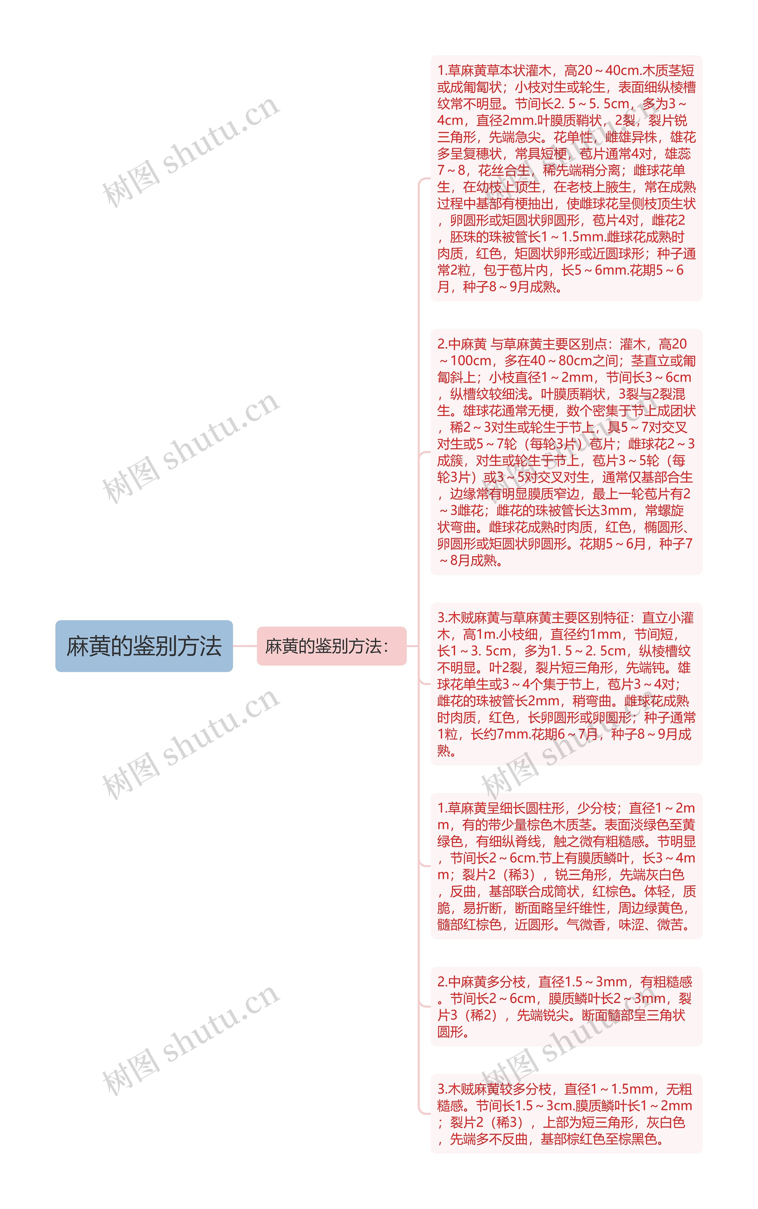 麻黄的鉴别方法