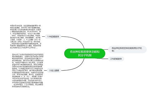 传出神经系统受体功能和其分子机制