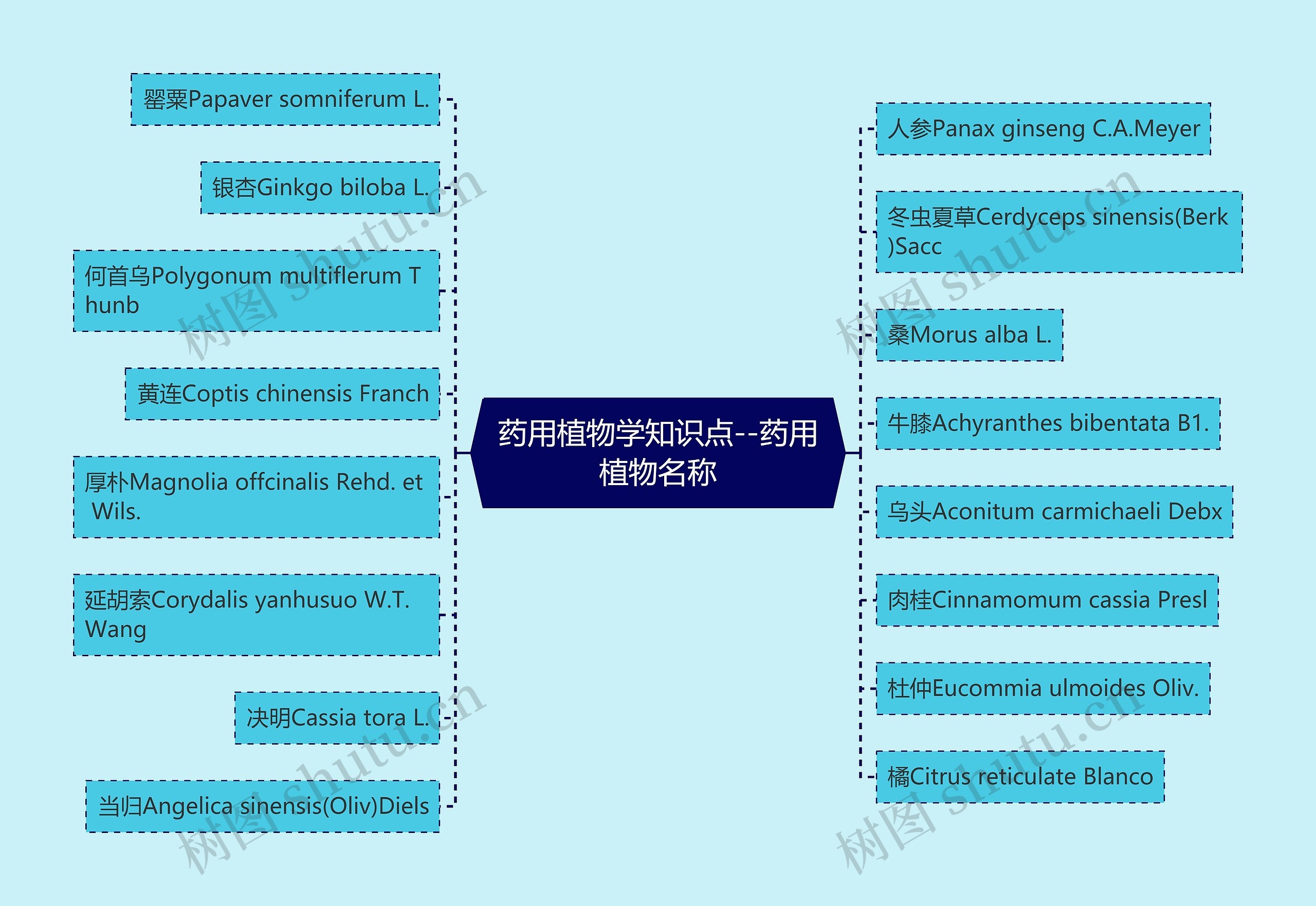 药用植物学知识点--药用植物名称思维导图
