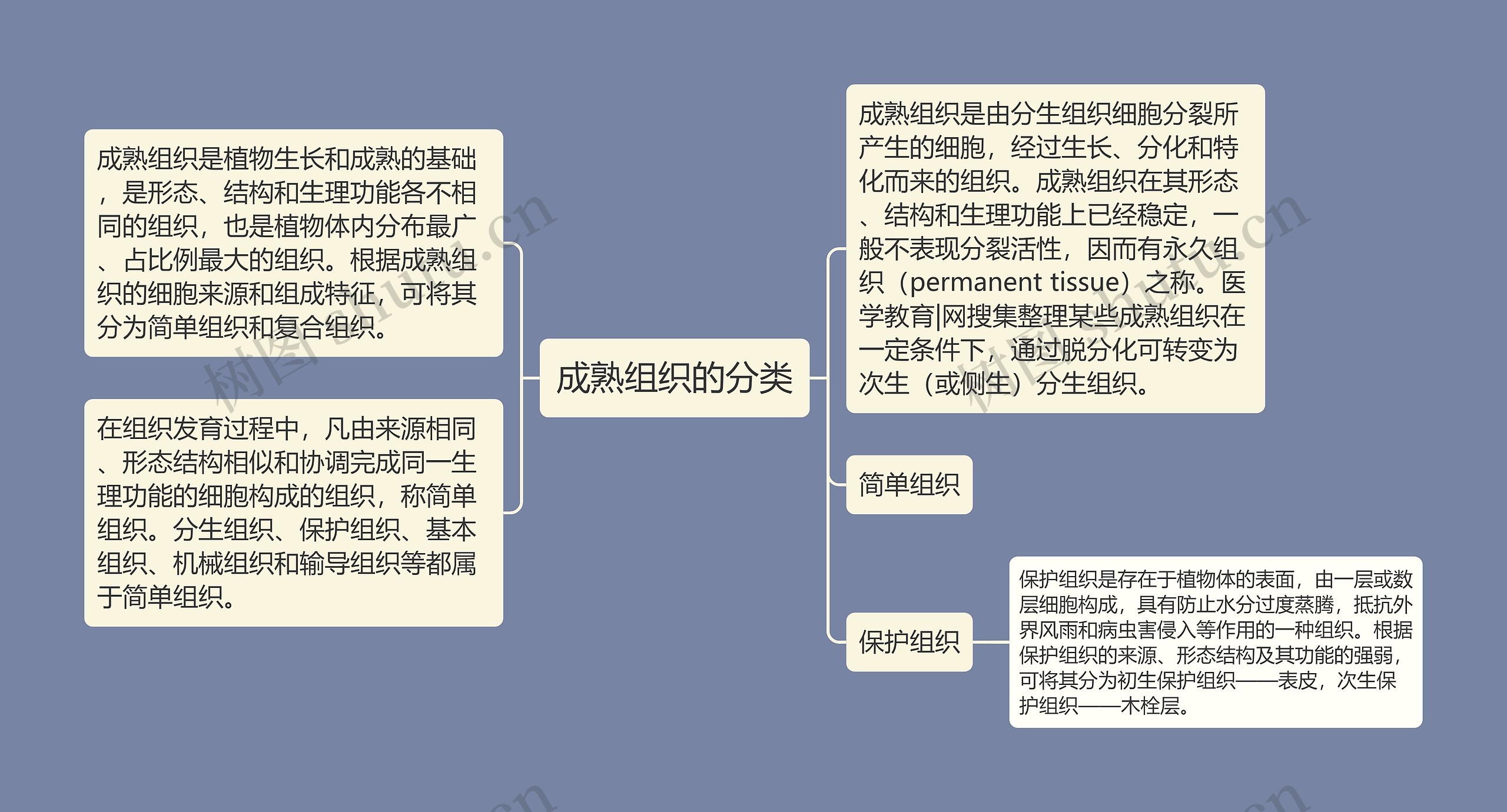 成熟组织的分类