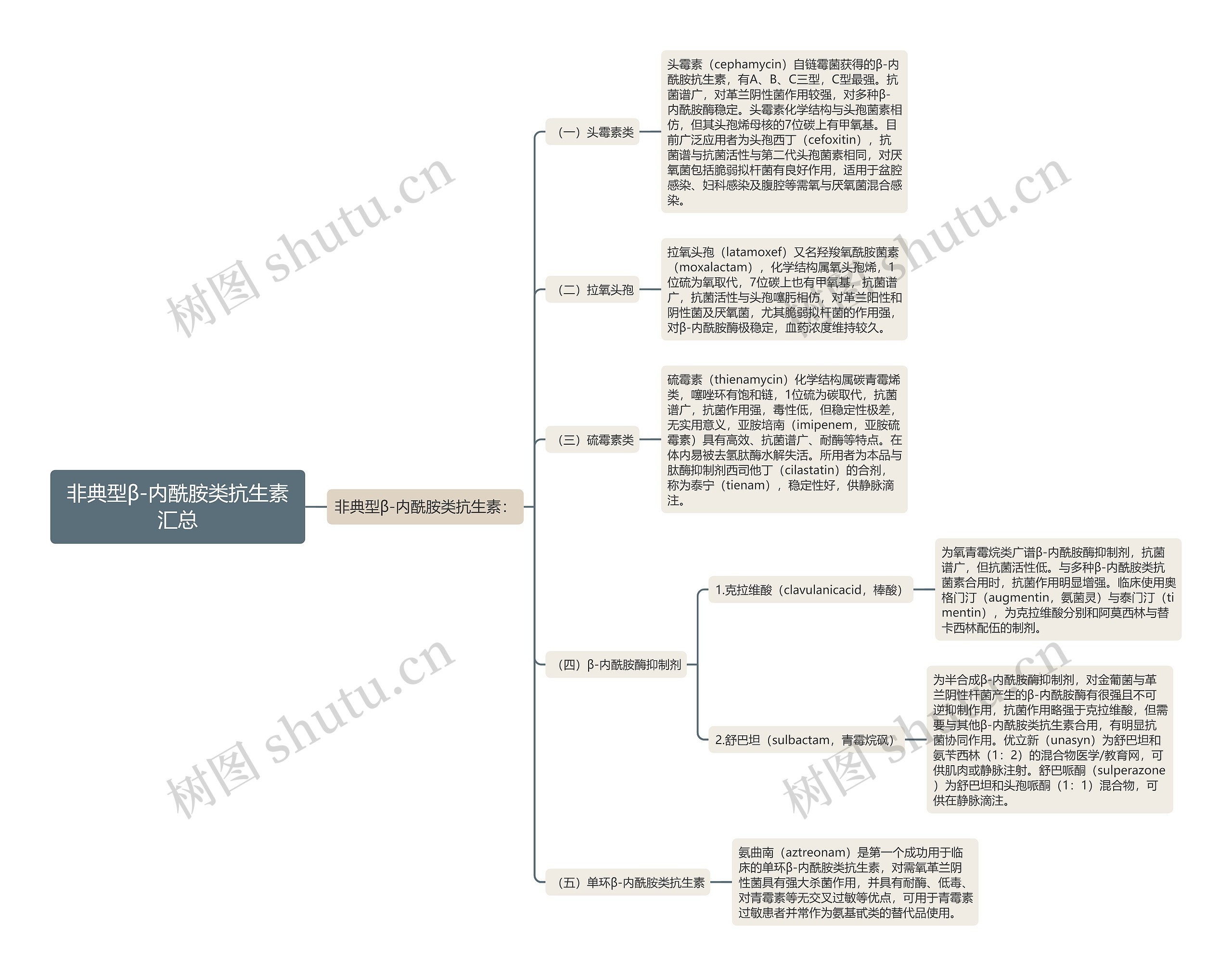 非典型β-内酰胺类抗生素汇总思维导图