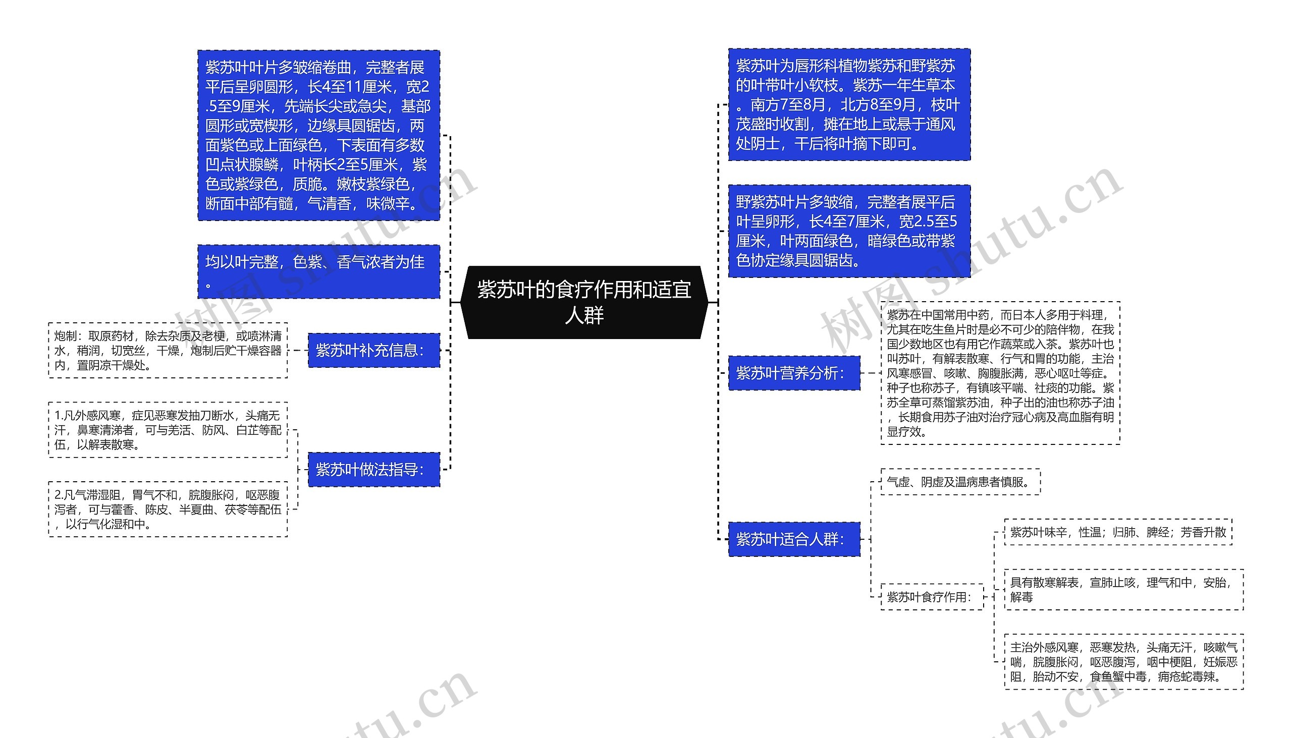 紫苏叶的食疗作用和适宜人群思维导图