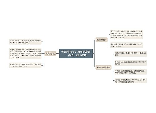 药用植物学：果实的发育、类型、组织构造