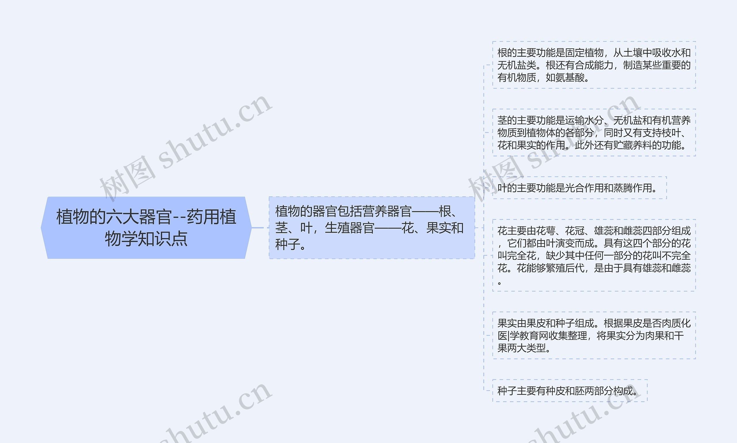 植物的六大器官--药用植物学知识点思维导图