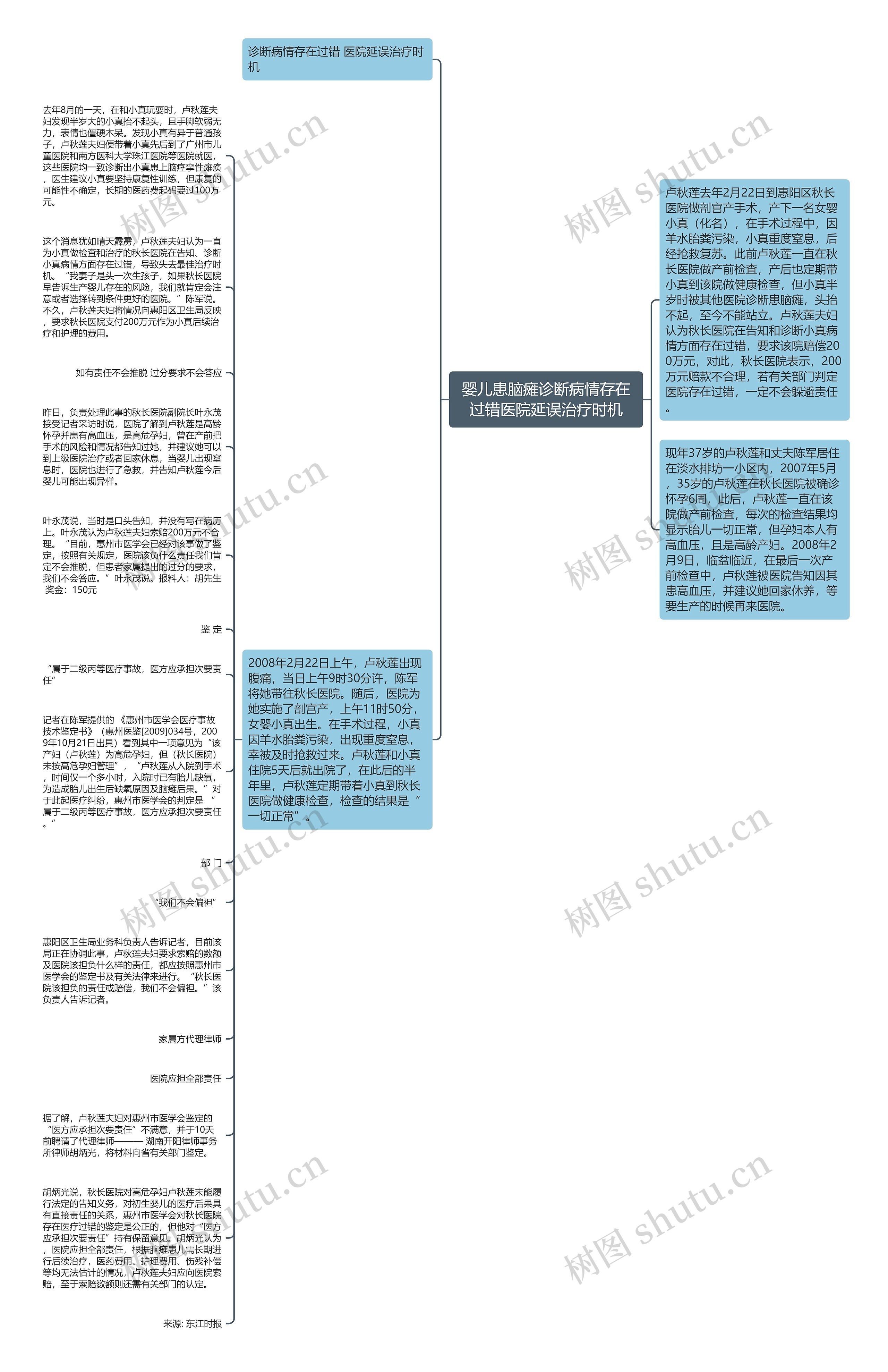 婴儿患脑瘫诊断病情存在过错医院延误治疗时机思维导图