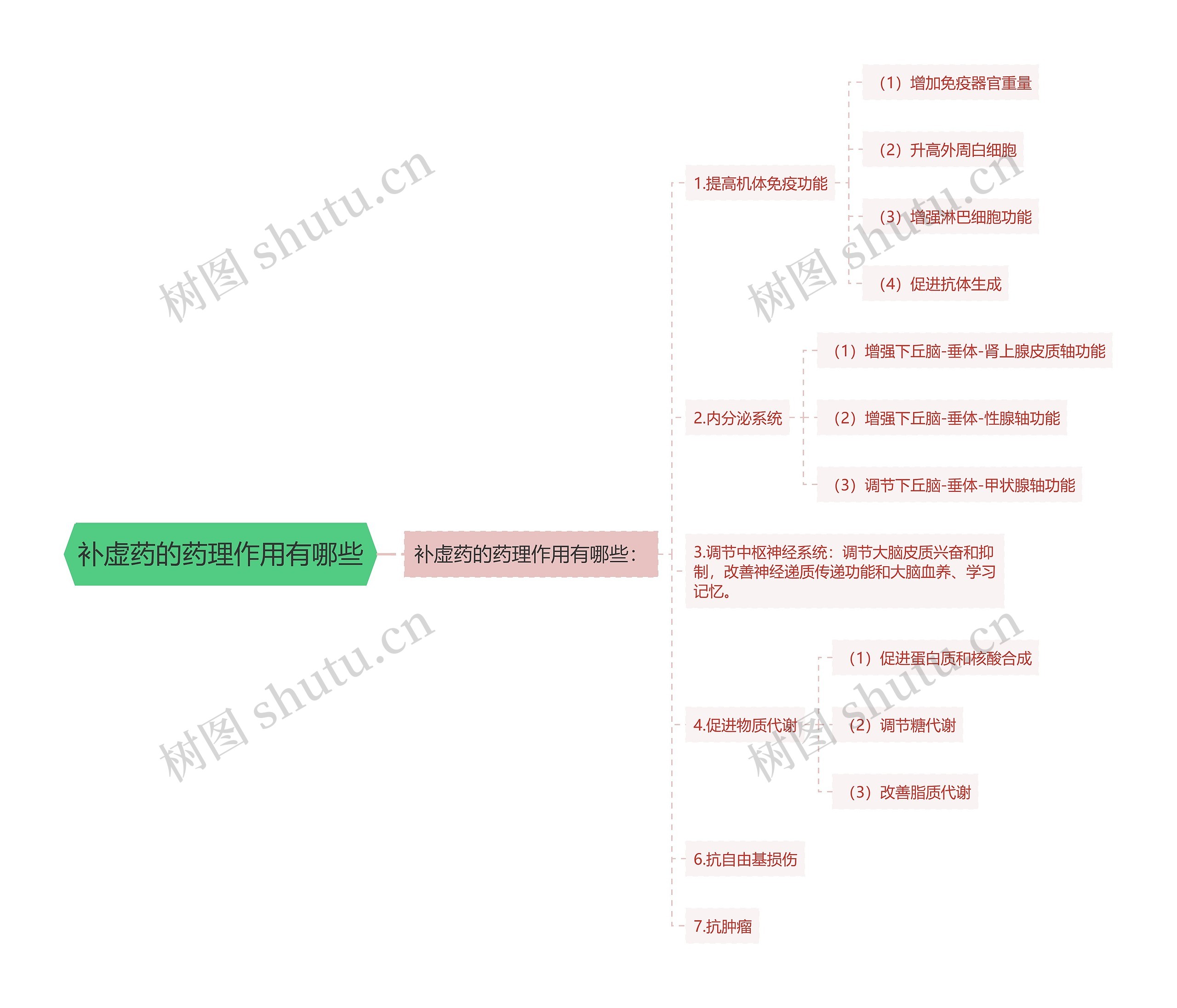 补虚药的药理作用有哪些思维导图