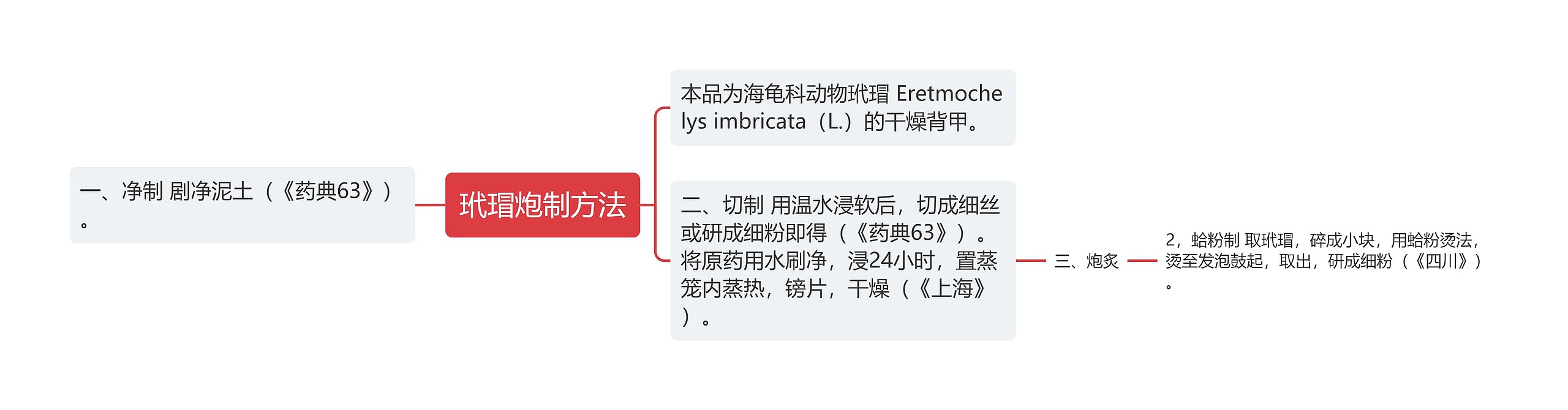 玳瑁炮制方法思维导图