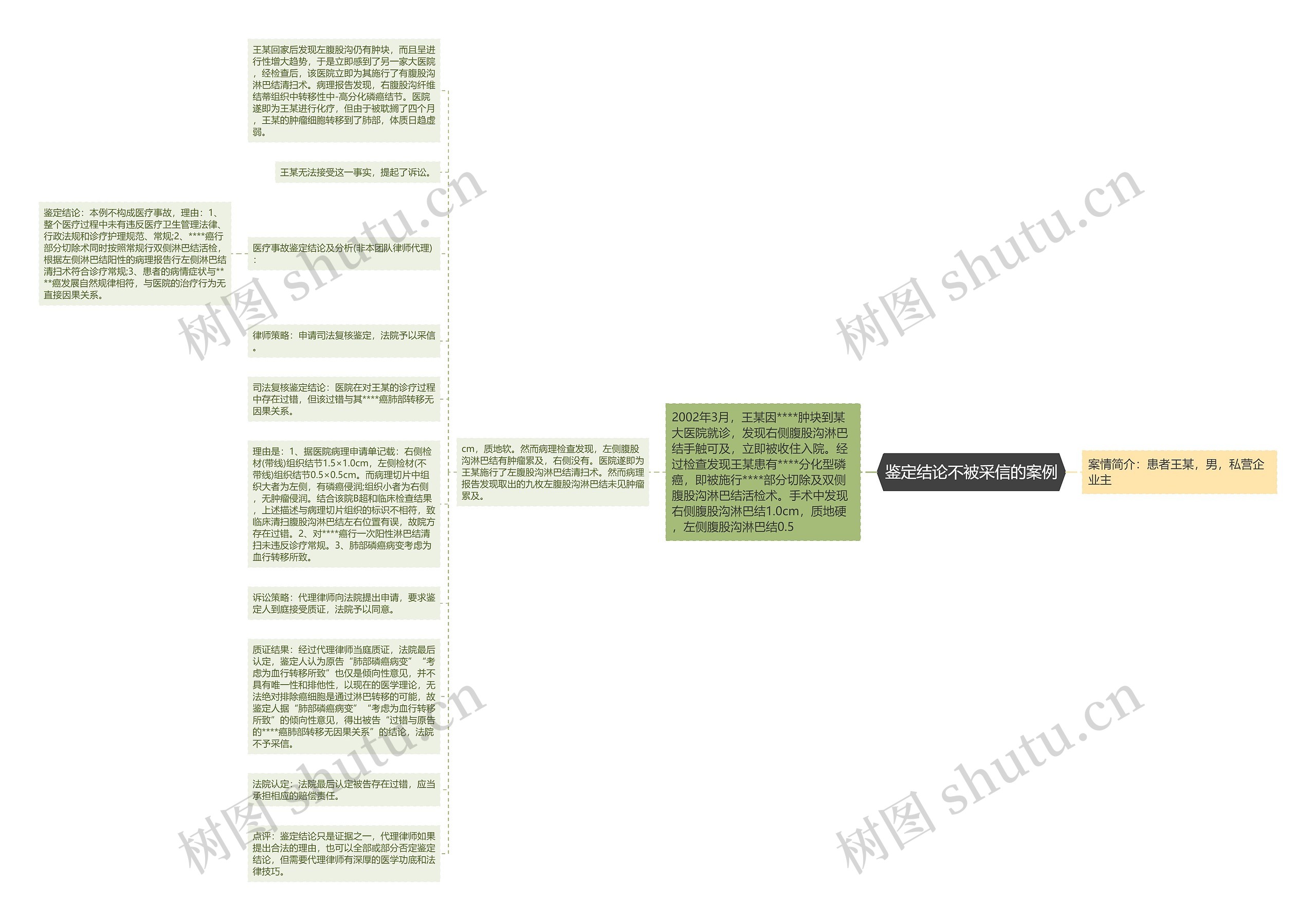 鉴定结论不被采信的案例思维导图