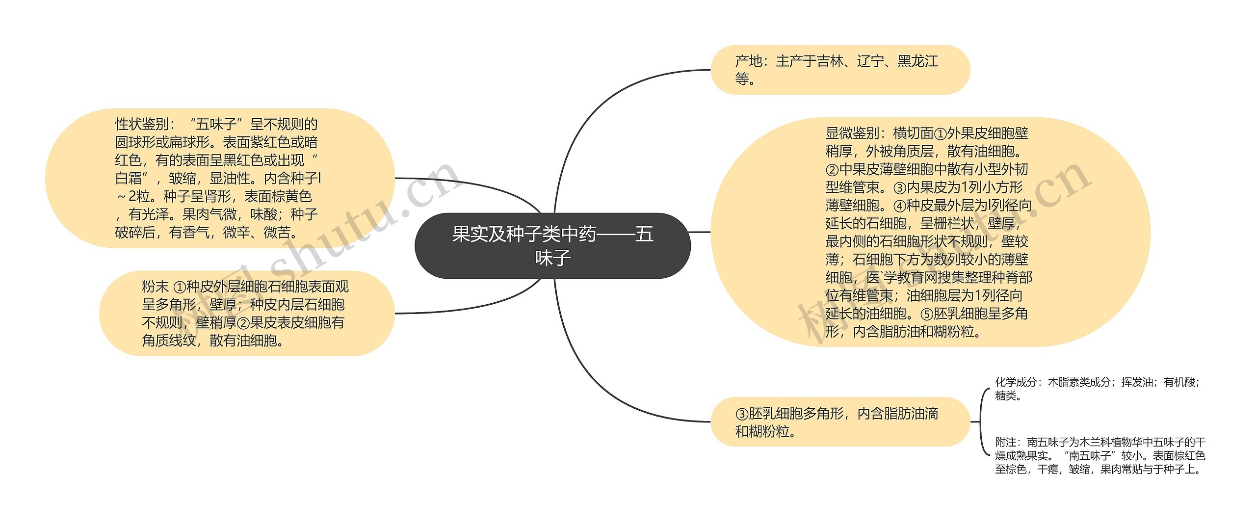 果实及种子类中药——五味子