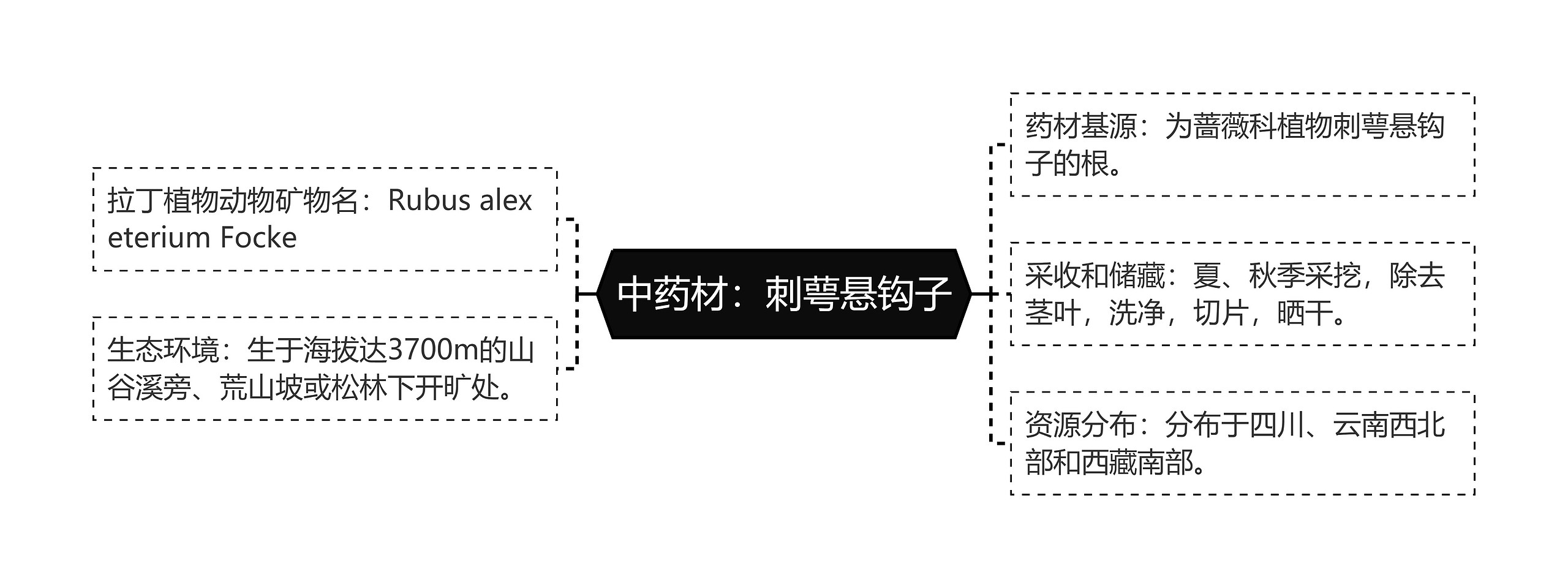 中药材：刺萼悬钩子思维导图