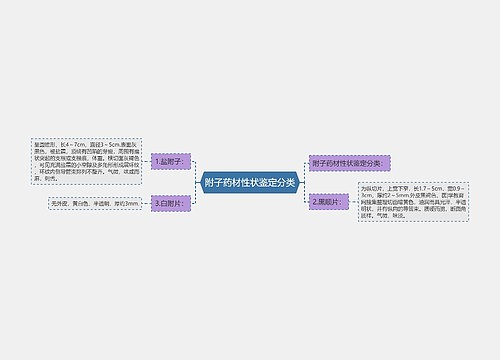 附子药材性状鉴定分类