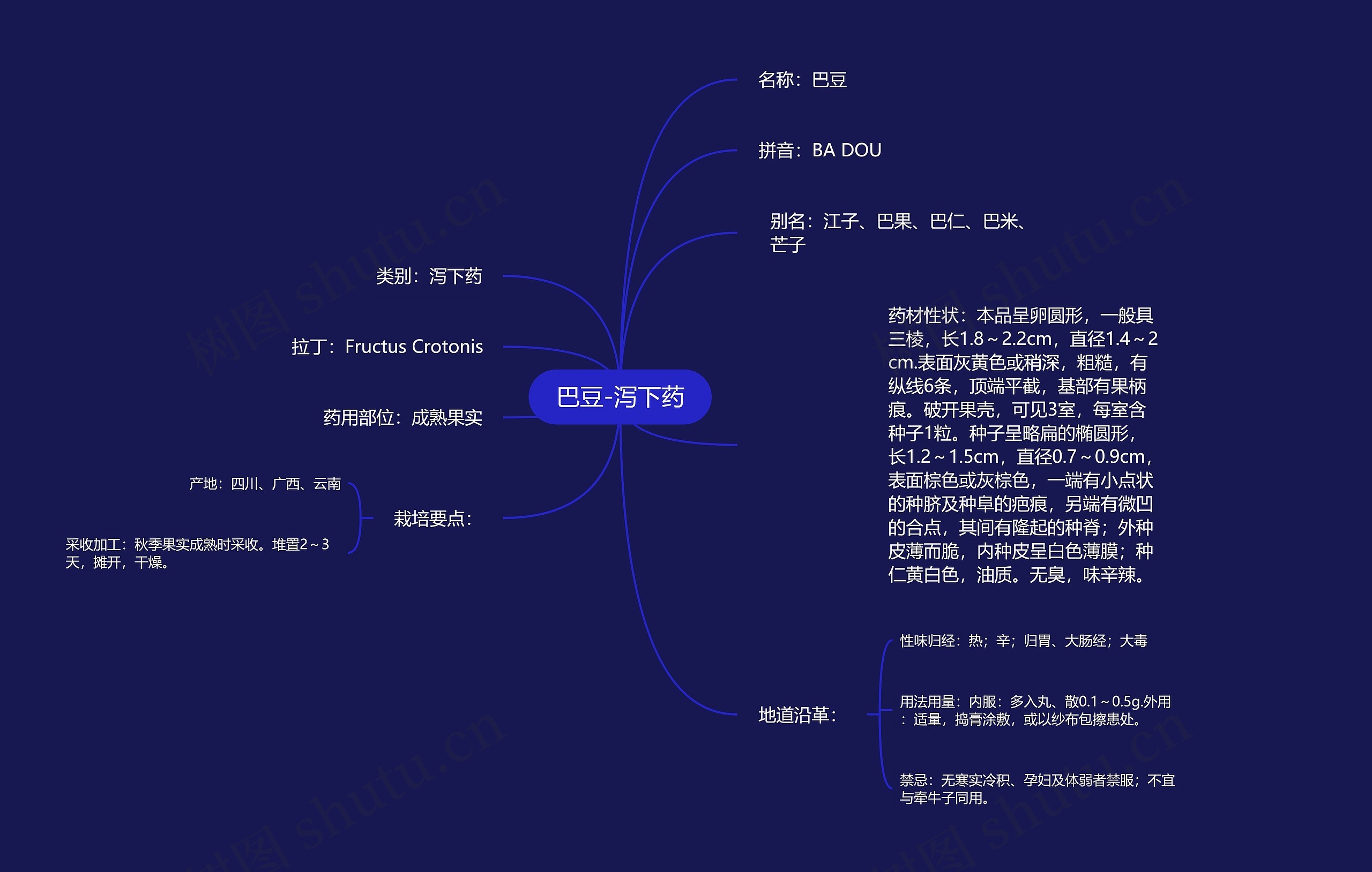 巴豆-泻下药思维导图