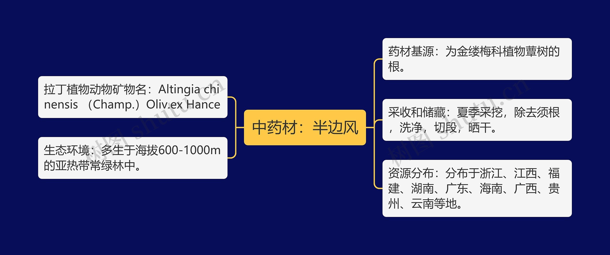 中药材：半边风思维导图