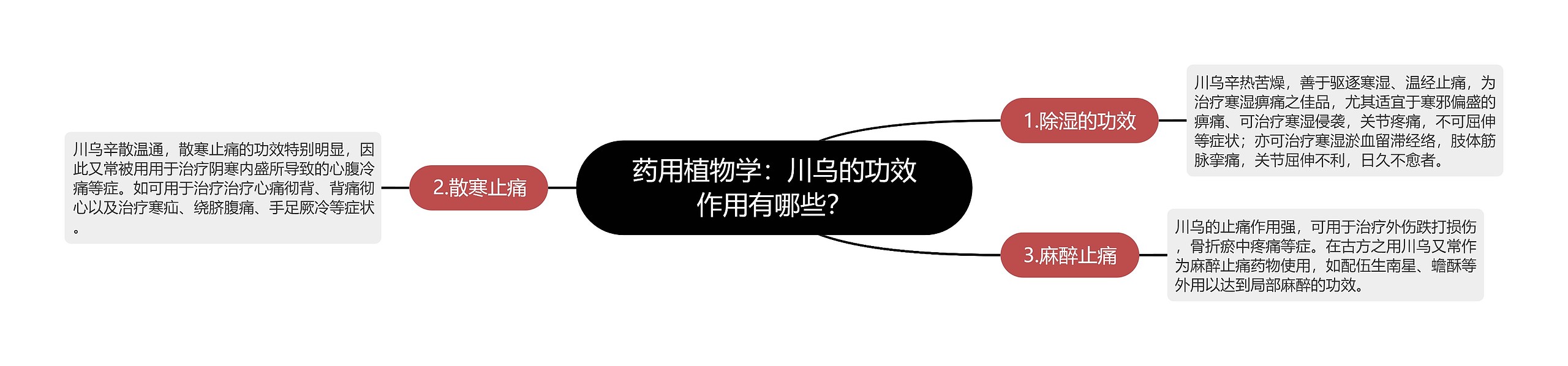 药用植物学:川乌的功效作用有哪些? 药用植物学:川乌的功效作用有哪些?