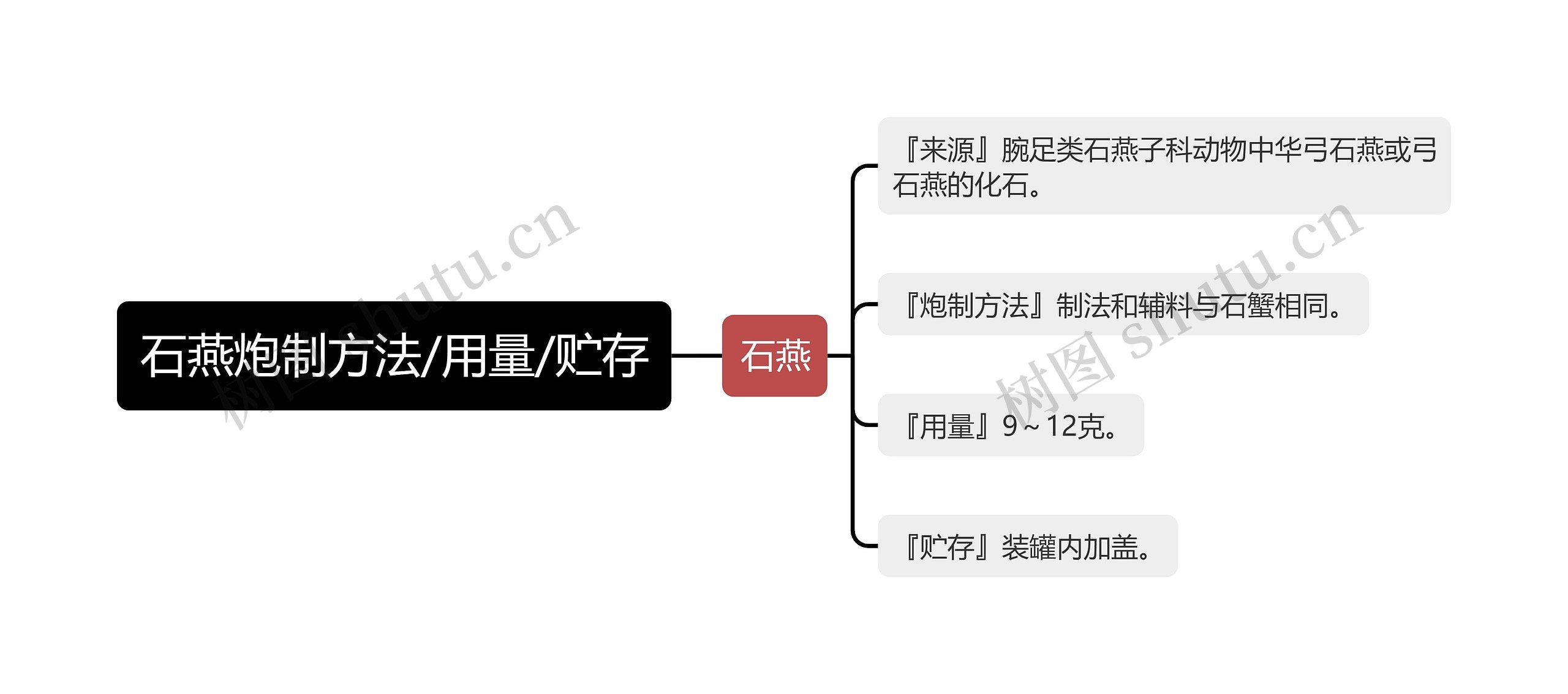 石燕炮制方法/用量/贮存思维导图