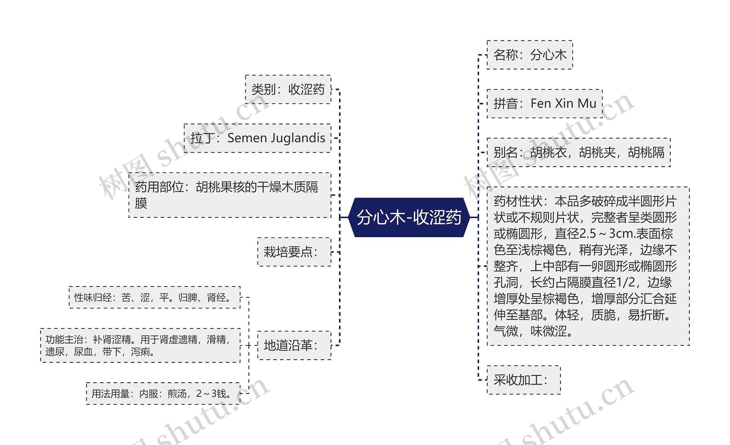 分心木-收涩药 分心木-收涩药