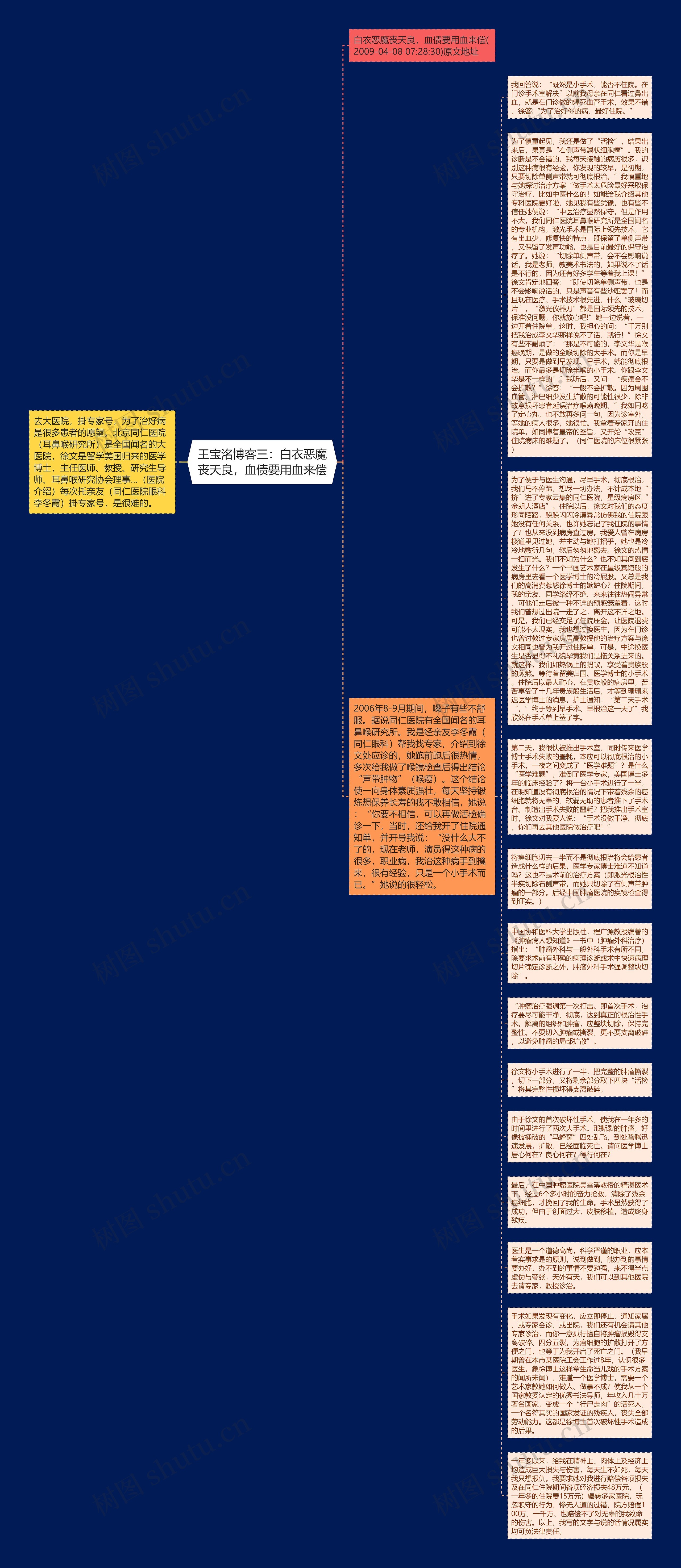 王宝洺博客三：白衣恶魔丧天良，血债要用血来偿思维导图