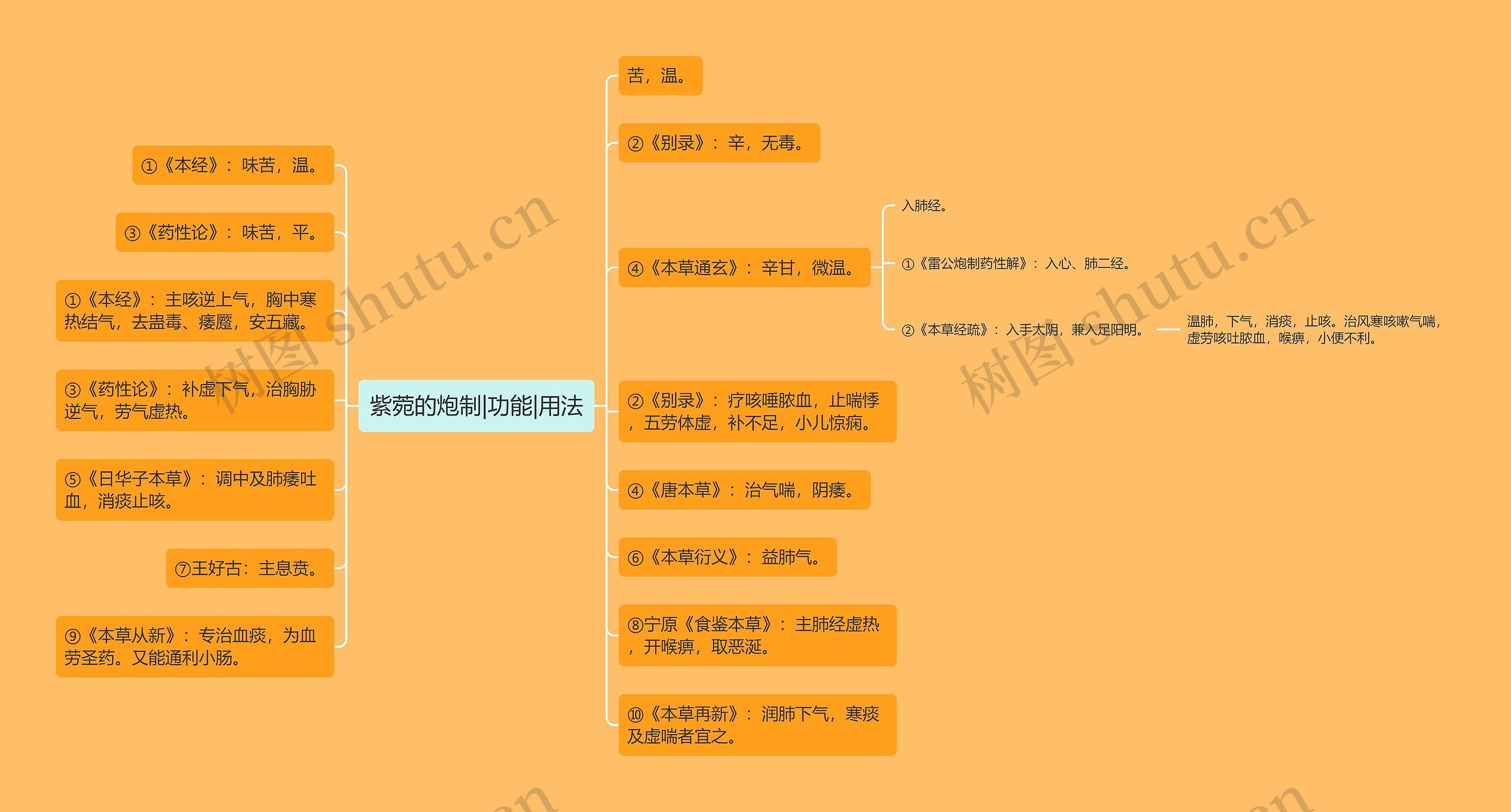 紫菀的炮制|功能|用法思维导图