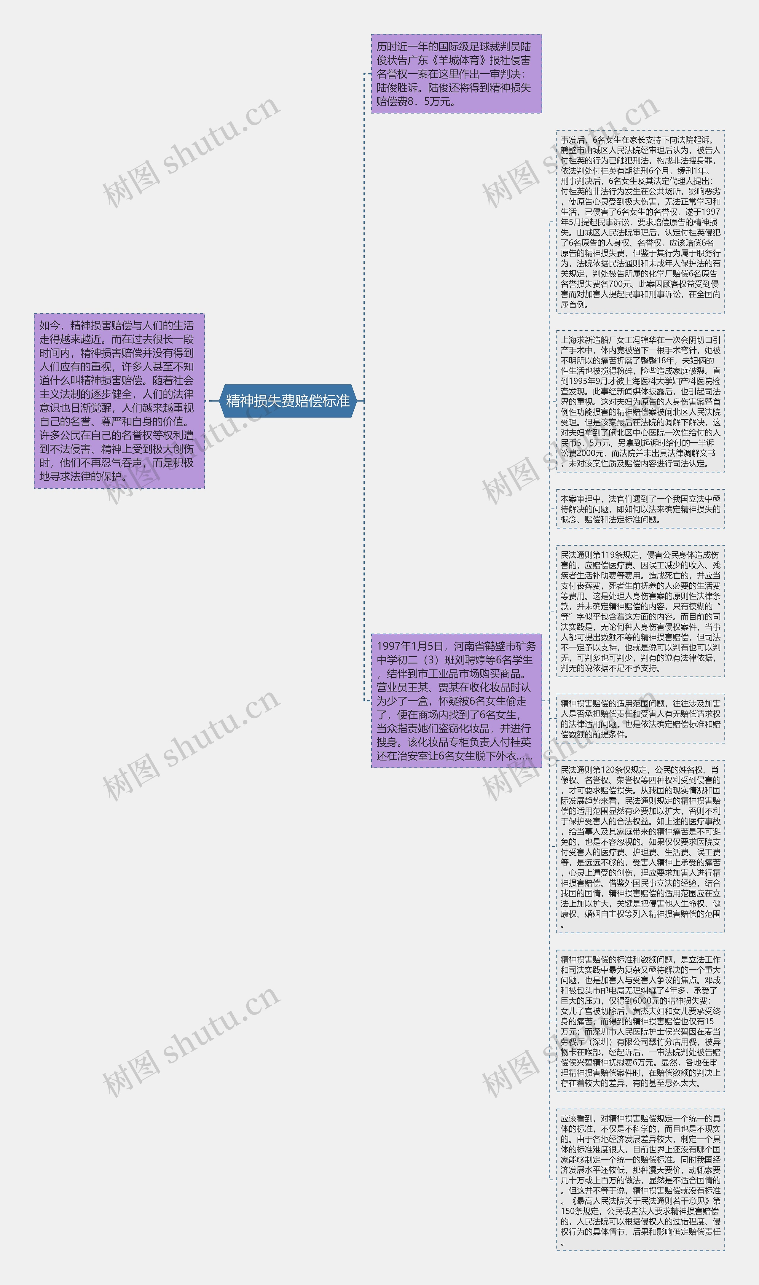 精神损失费赔偿标准思维导图