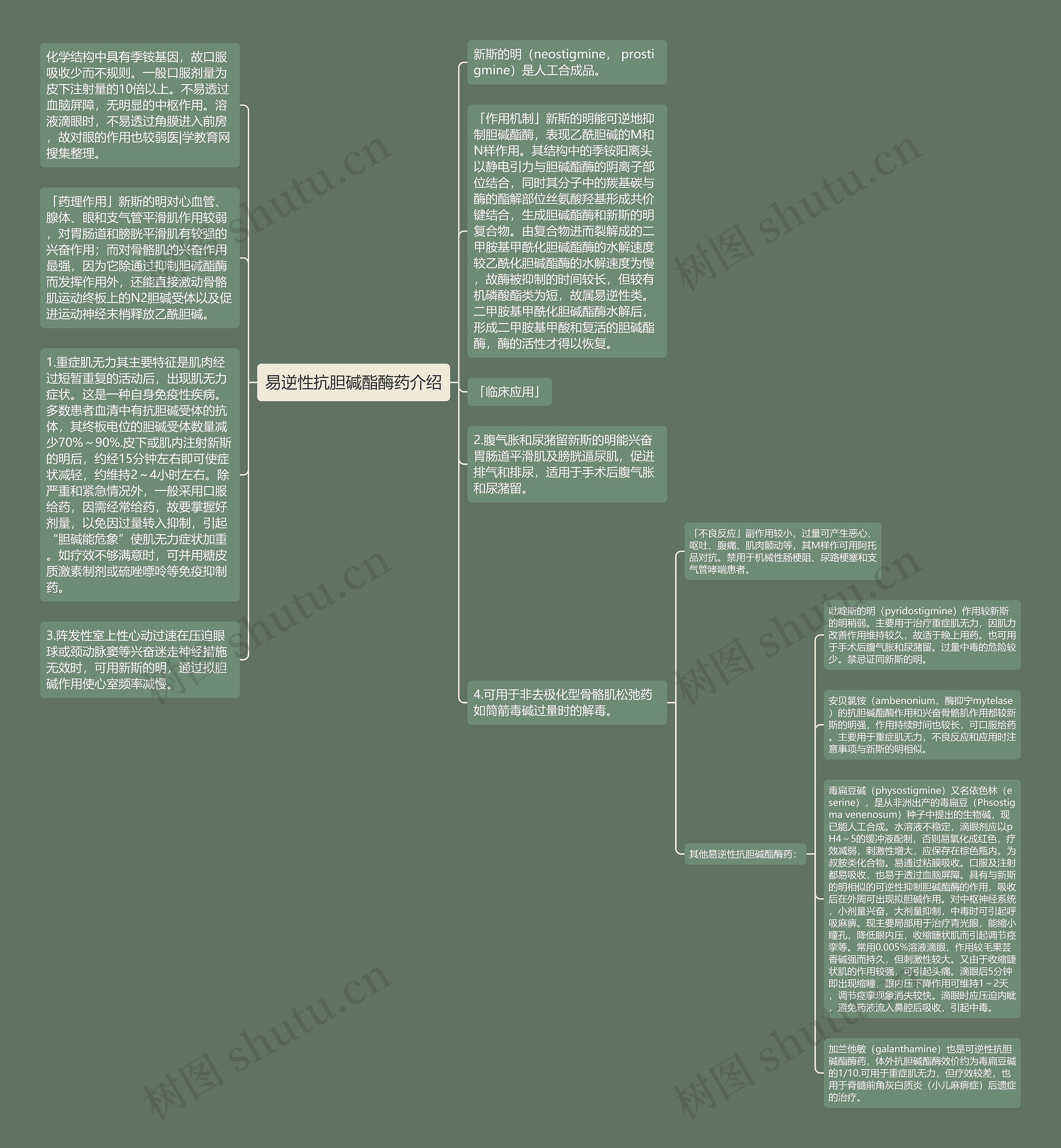 易逆性抗胆碱酯酶药介绍思维导图