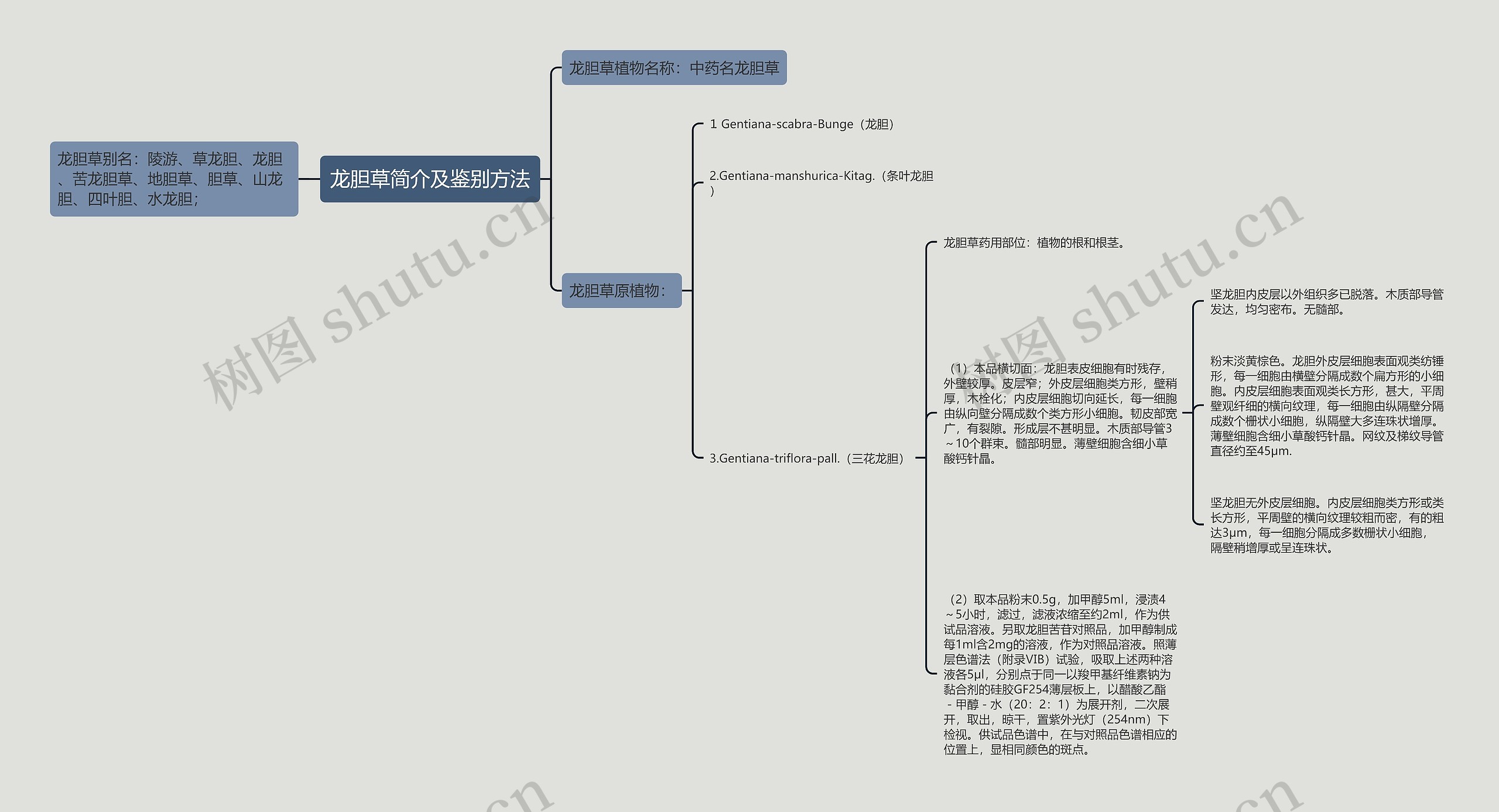 龙胆草简介及鉴别方法思维导图