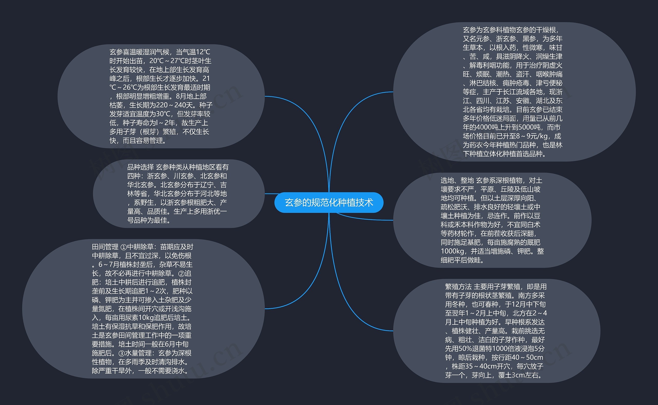 玄参的规范化种植技术思维导图